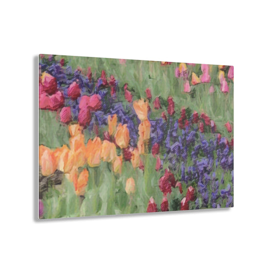 Acrylic Prints ... Skagit Valley Tulips ... Skagit Valley, Washington ... Family Archives ... Original Works ... Circa 1980's ...