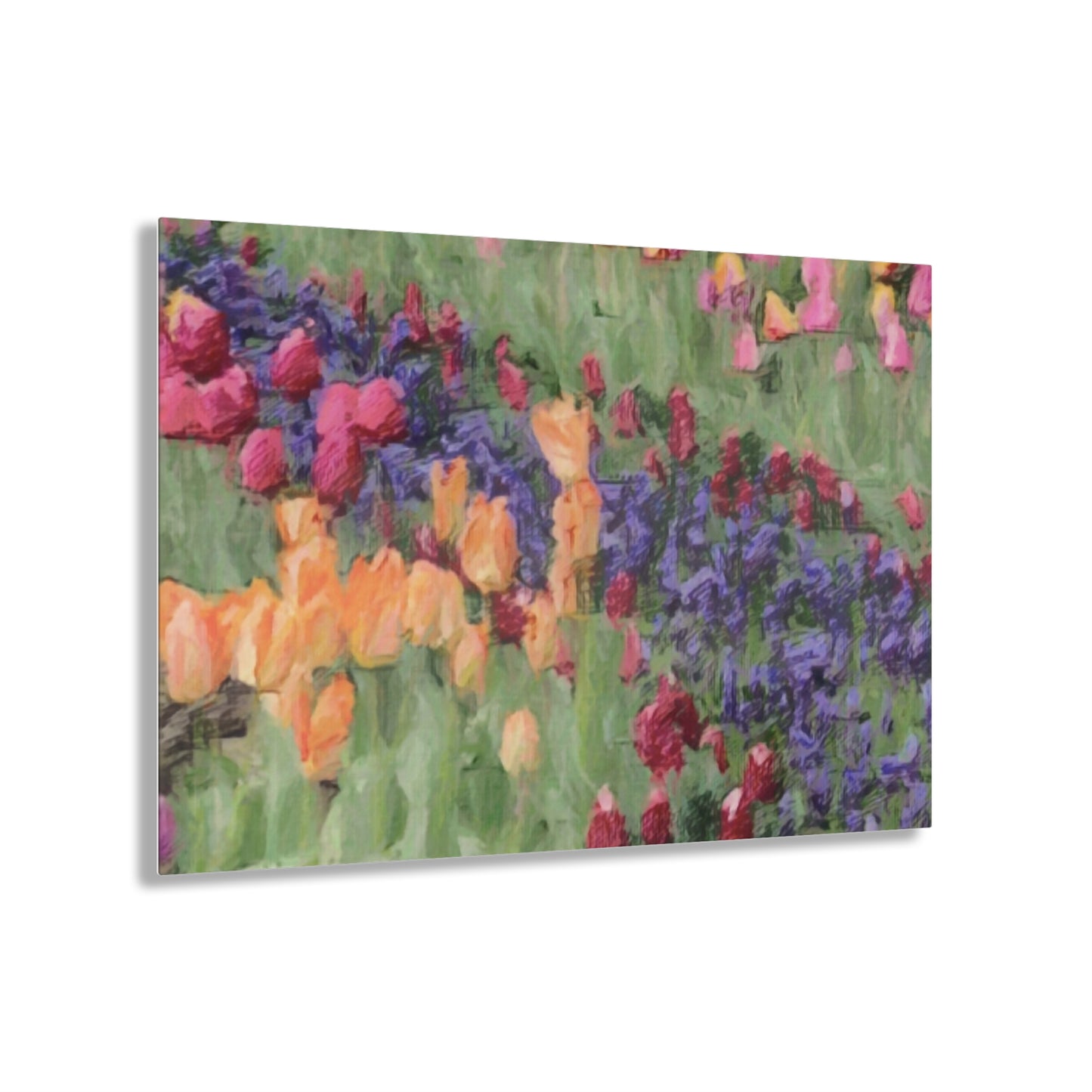 Acrylic Prints ... Skagit Valley Tulips ... Skagit Valley, Washington ... Family Archives ... Original Works ... Circa 1980's ...