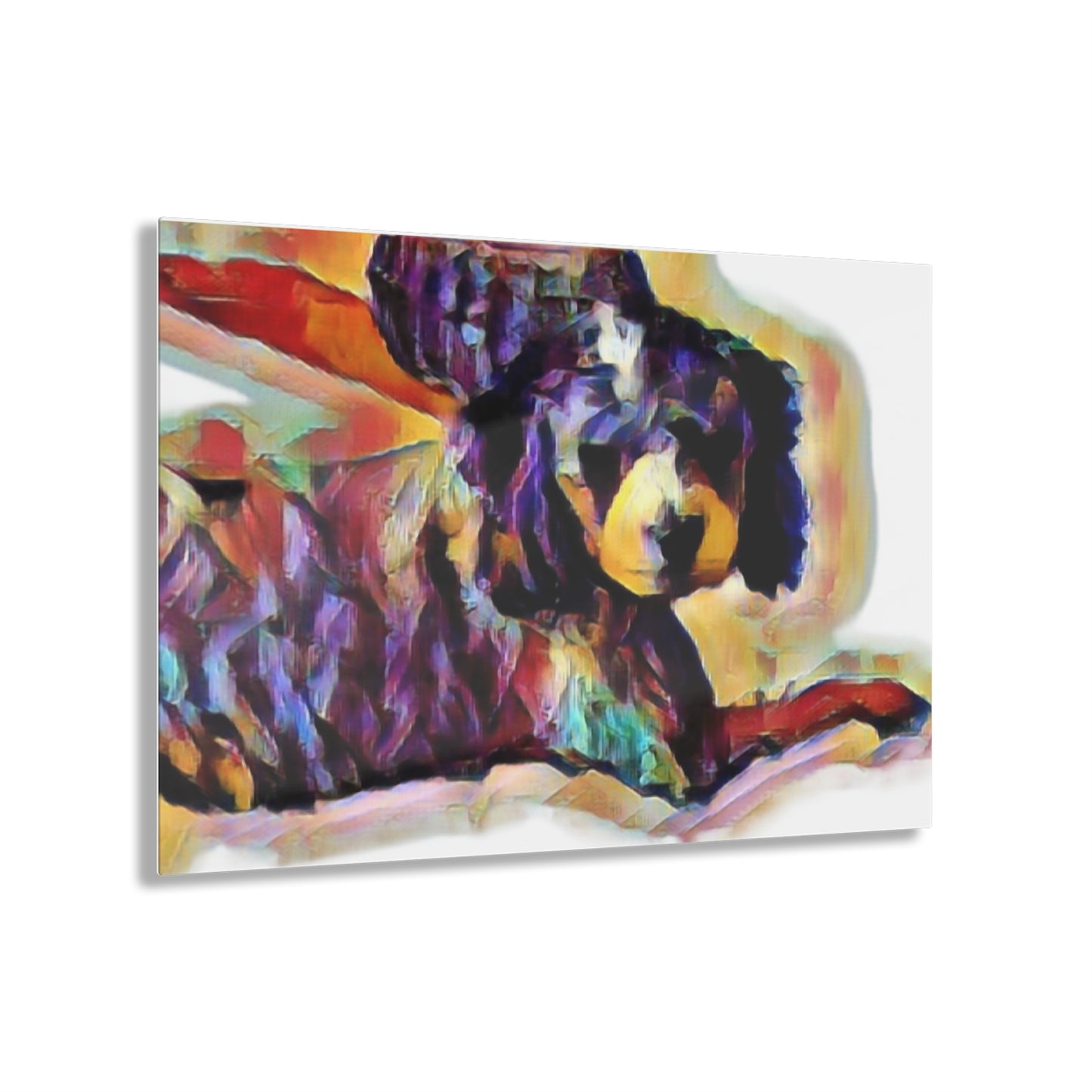 Acrylic Prints ... Sadie Johnson_Stenzel ... "Original Works" ... December 2023 ...