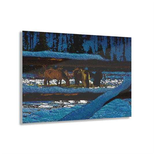 Acrylic Prints ... A Horse ... A Saddle ...  Foraging Through The Snow ...  An_Asses 'Cry' ... Central Idaho, November 2022 ...  Original Works ...