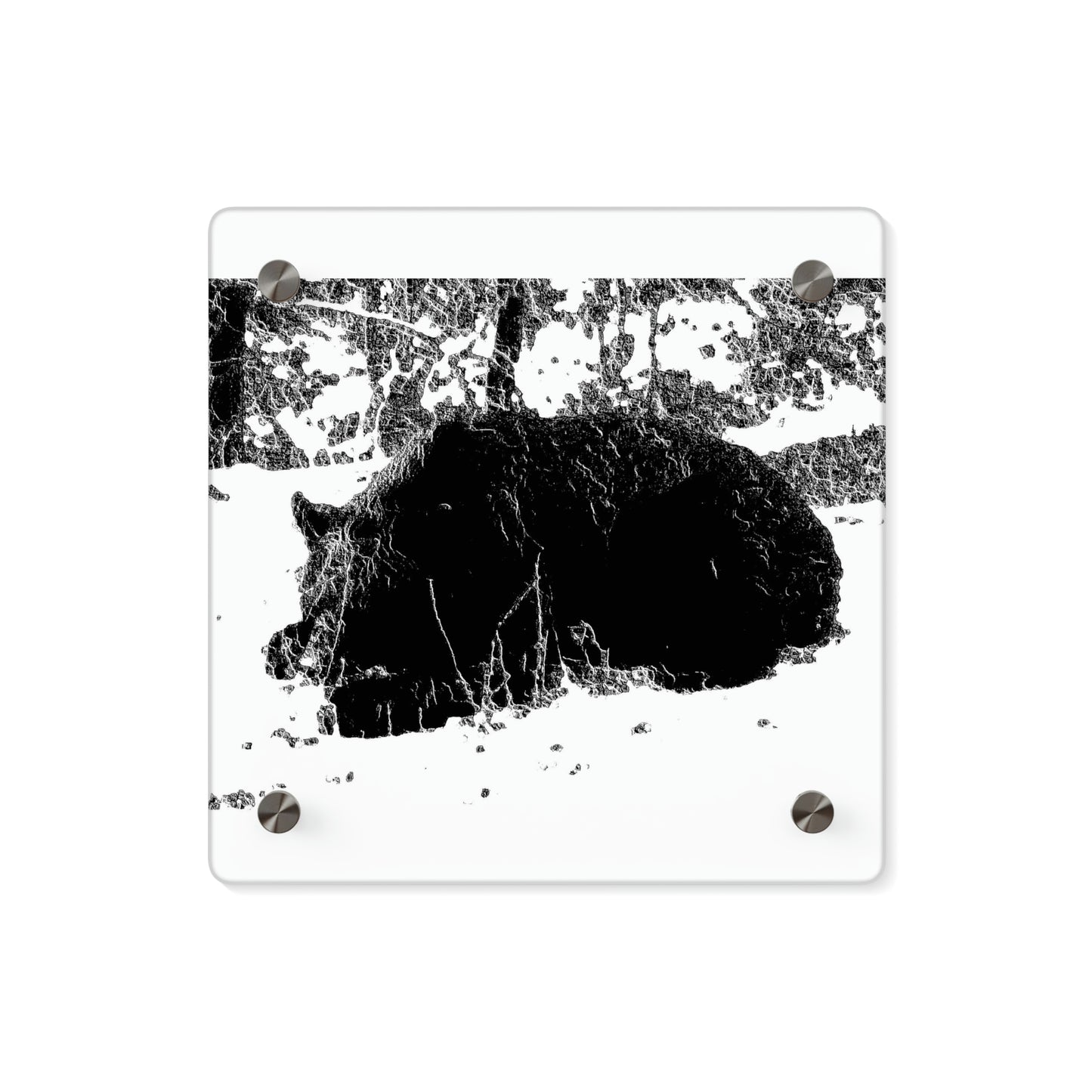 Acrylic Wall Art Panels ... RCY: "Rhett Creek Yogi ... '500 Lbs Of Autumn Season Hunger' ..."  ... September 2022 ... Central Idaho ... Original Works ...