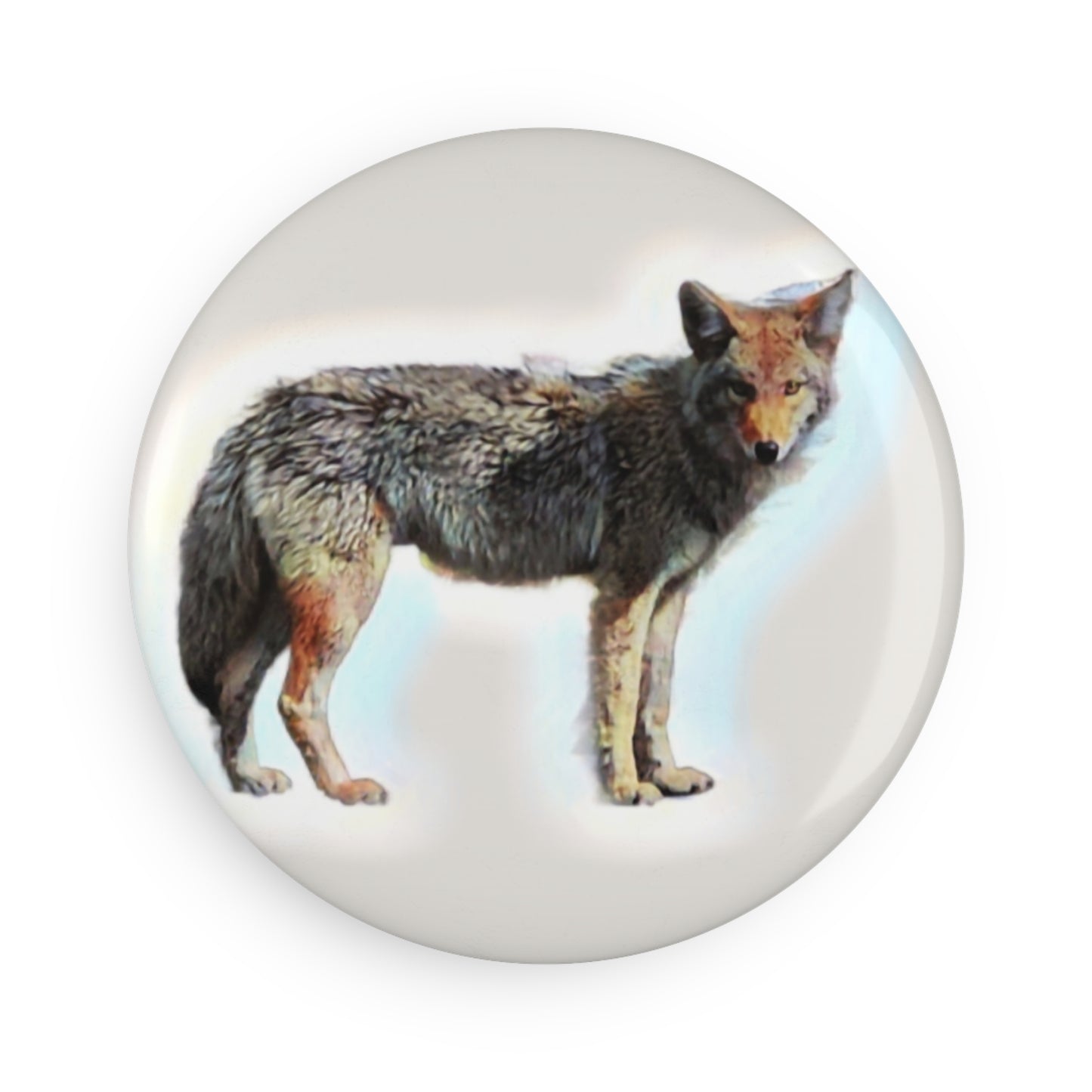Button Magnet, Round (1 & 10 pcs) ... Coyote ... "Yosemite Valley: Circa May23 ... KPH Base Photo" ... Original Works ...