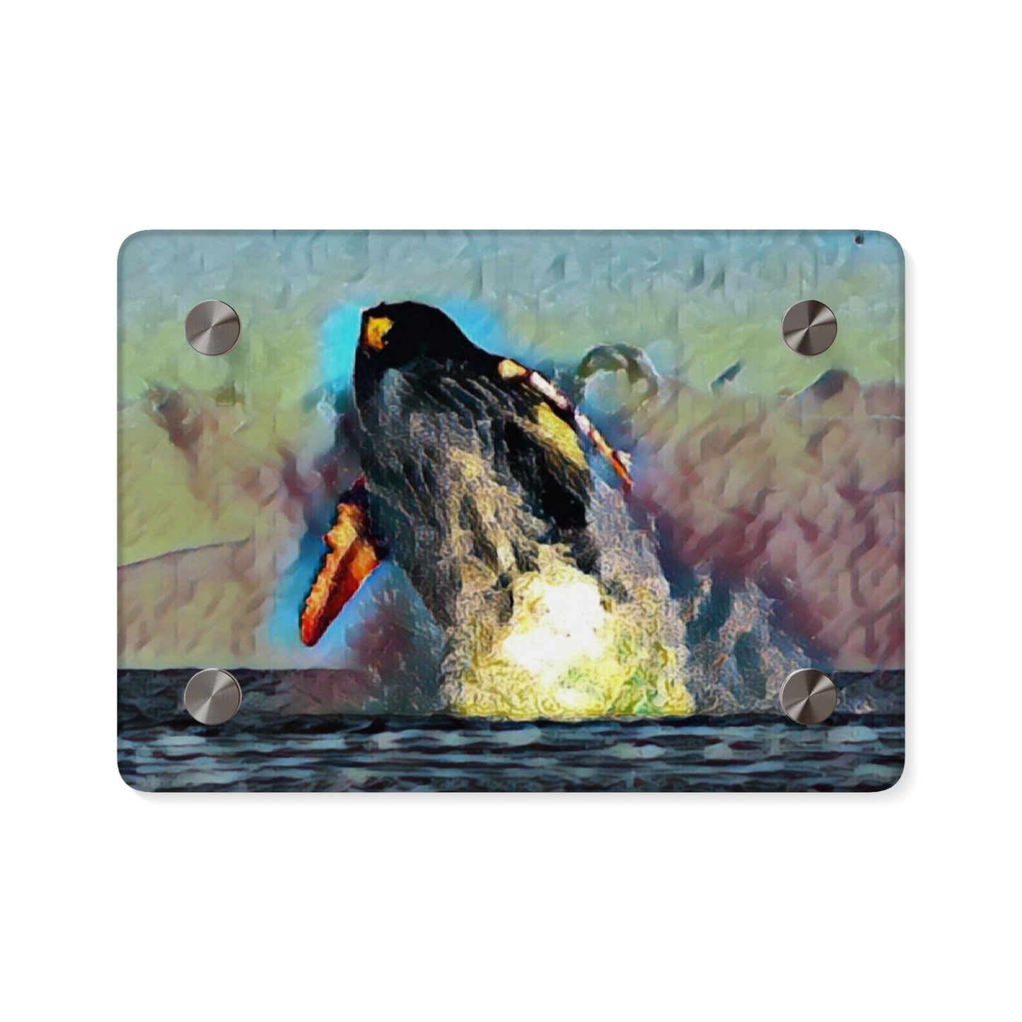 Acrylic Wall Art Panels ... An Extraordinary Humpback Breach ... 'With Explosive Energy' ... Family Archives (KPH) ... Circa: 21st Century. Maui, HI ... Original Works ...