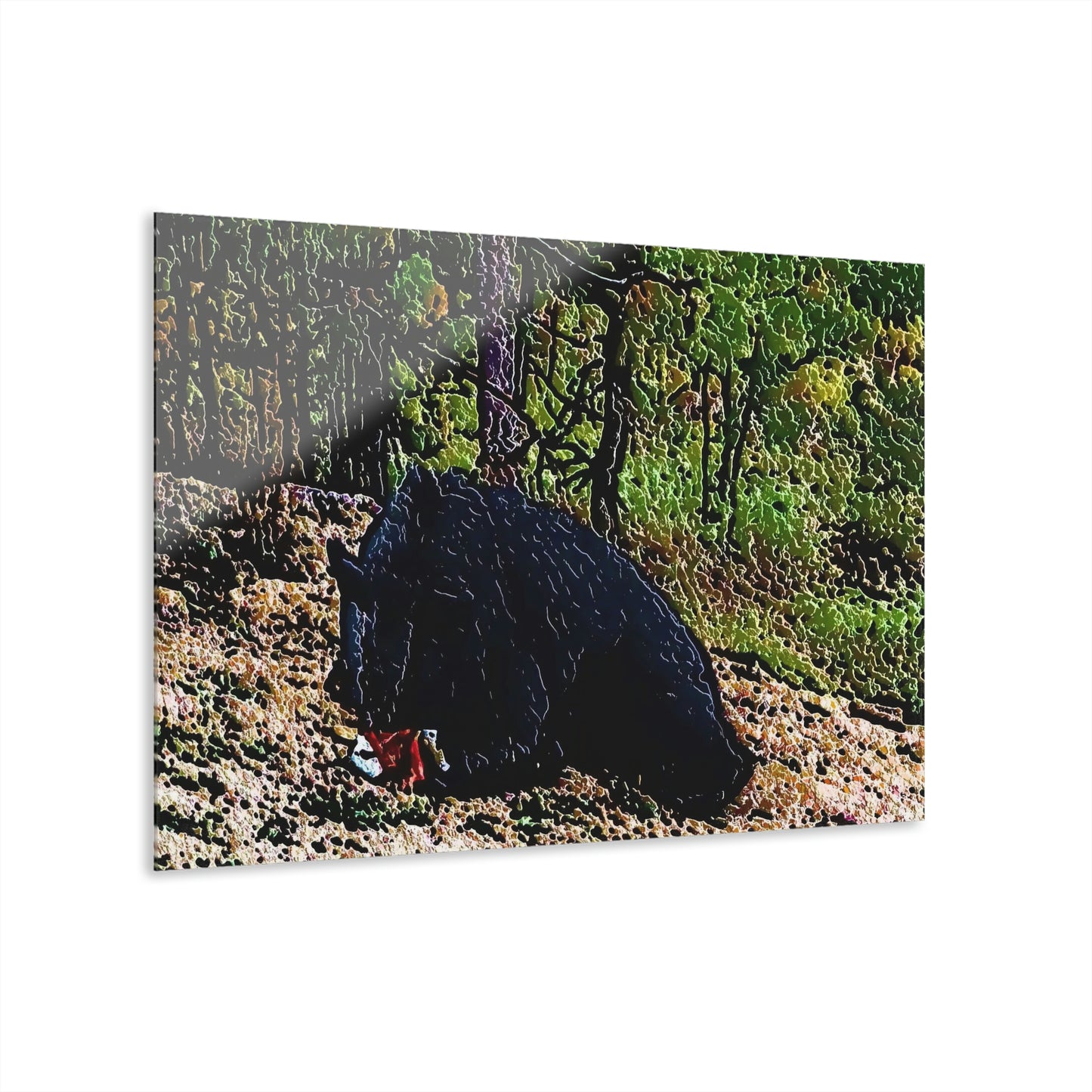 Acrylic Prints (French Cleat Hanging) ... RCY: "Rhett Creek Yogi ... '500 Lbs Of Autumn Season Hunger' ..."  ... September 2022 ... Central Idaho ... Original Works ...