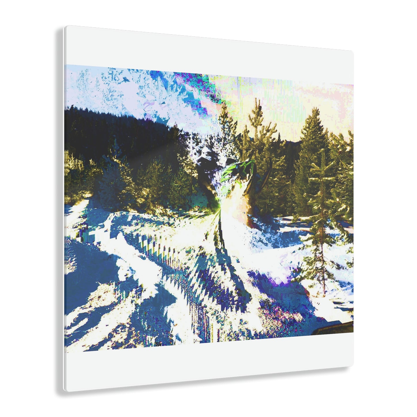 Acrylic Prints ... "No Time 'Like-Air-Time' ..." ... A True Master At His Craft ... December 2022, Rhett Creek, Idaho ... Original Works ...