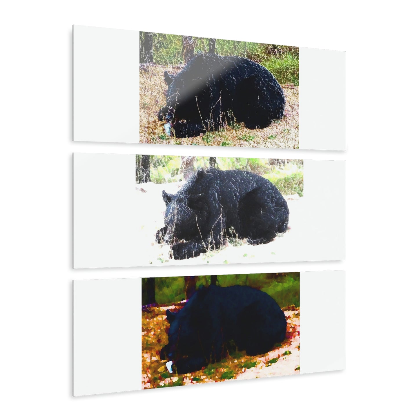 Acrylic Prints (Triptych) ... RCY: "Rhett Creek Yogi ... '500 Lbs Of Autumn Season Hunger' ..." September 2022 ... Central Idaho ... Original Works ...