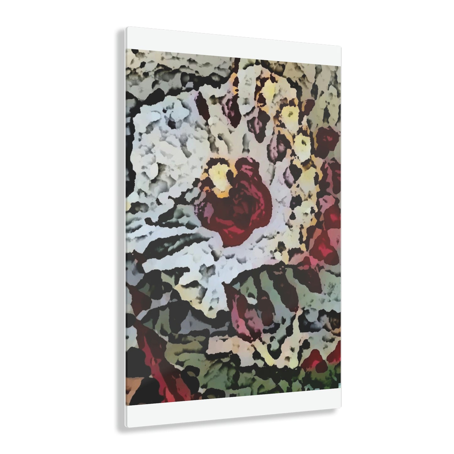 Acrylic Prints ... "A Friendly Flower" ... Pointsettia 'Pointing' ... Original Works ... (Supplied Photograph) ...