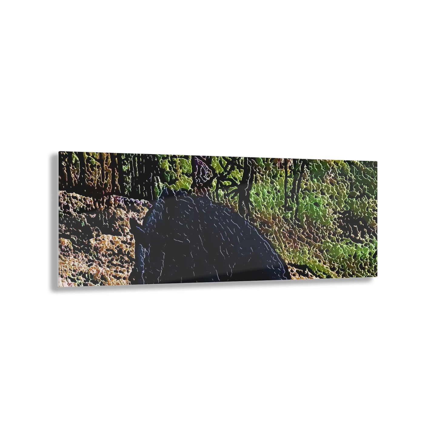 Acrylic Prints ... RCY: "Rhett Creek Yogi ... '500 Lbs Of Autumn Season Hunger' ..."  ... September 2022 ... Central Idaho ... Original Works ...