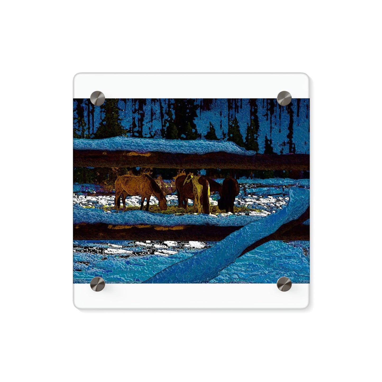 Acrylic Wall Art Panels ... A Horse ... A Saddle ...  Foraging Through The Snow ...  An_Asses 'Cry' ... Central Idaho, November 2022 ...  Original Works ...