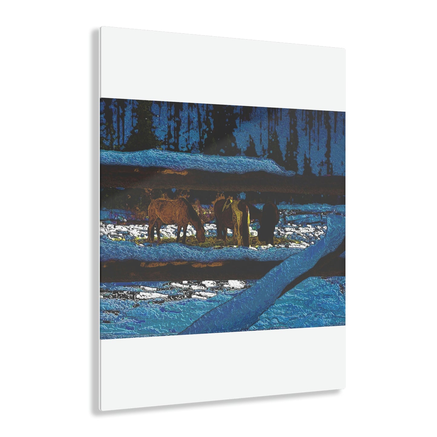 Acrylic Prints ... A Horse ... A Saddle ...  Foraging Through The Snow ...  An_Asses 'Cry' ... Central Idaho, November 2022 ...  Original Works ...