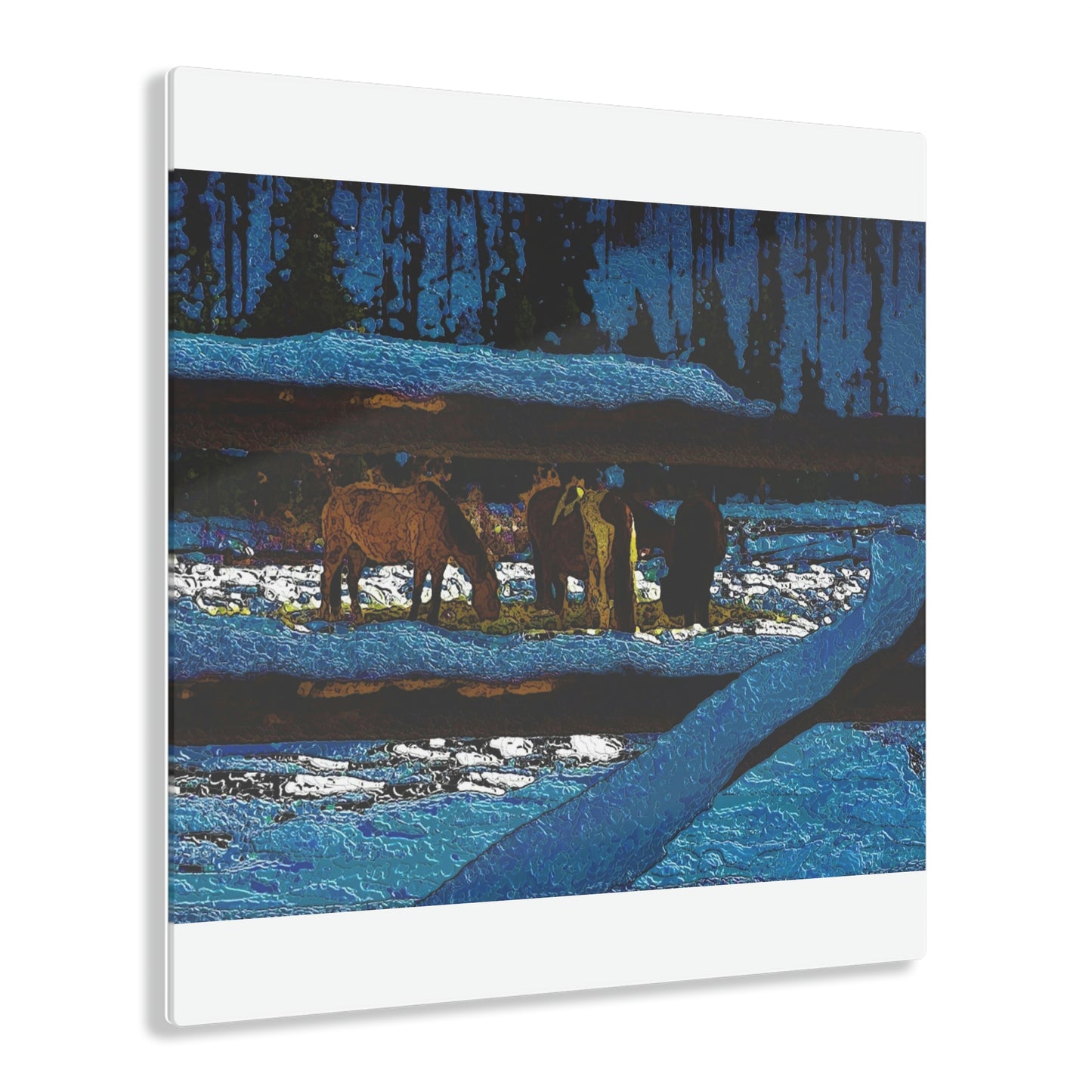 Acrylic Prints ... A Horse ... A Saddle ...  Foraging Through The Snow ...  An_Asses 'Cry' ... Central Idaho, November 2022 ...  Original Works ...