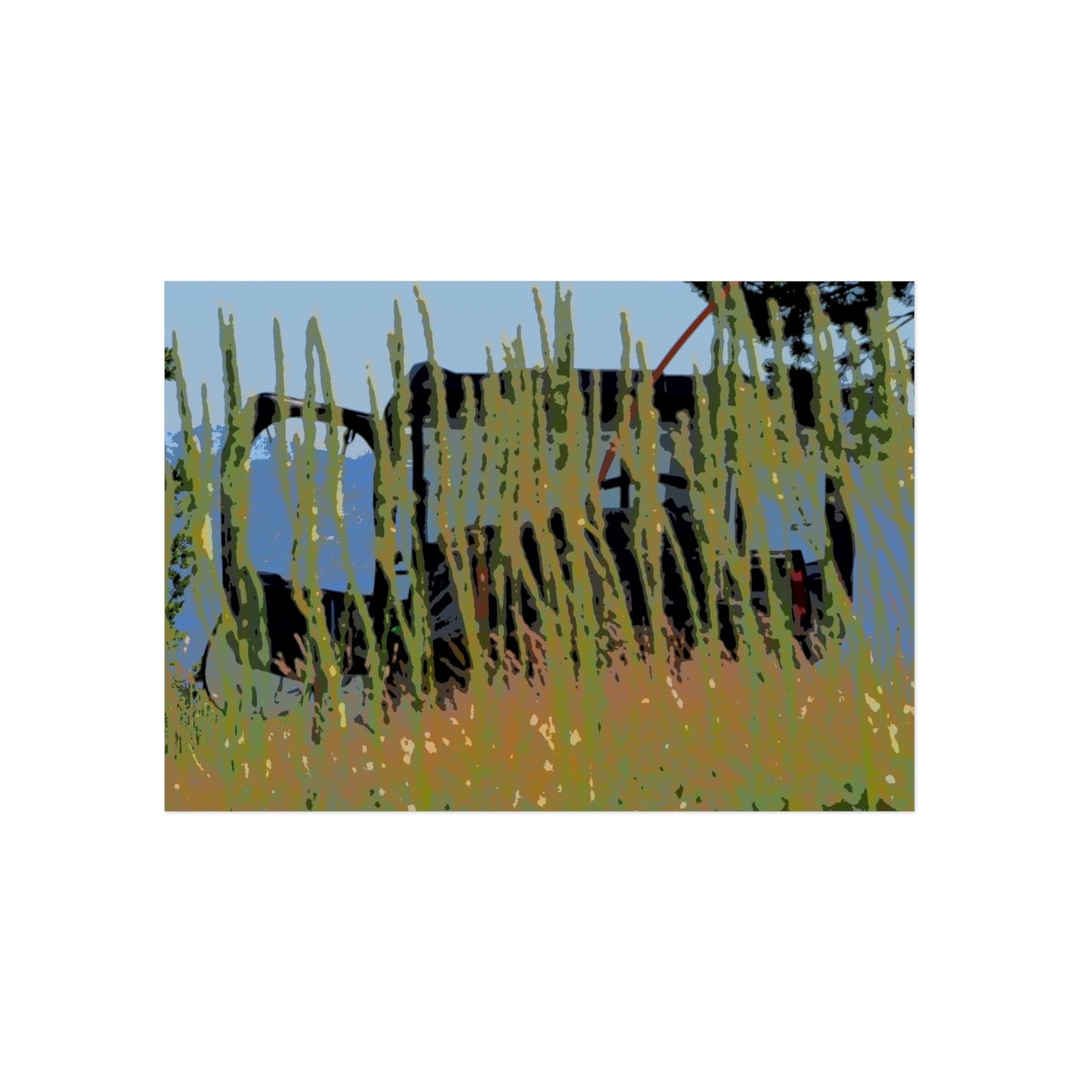 Aluminum Composite Panels ... The Beargrass (Xerophyllum Spp.) Of Green Mountain Fire Lookout ... "Magruder Corridor" ... August 2022 ... Original Works ...