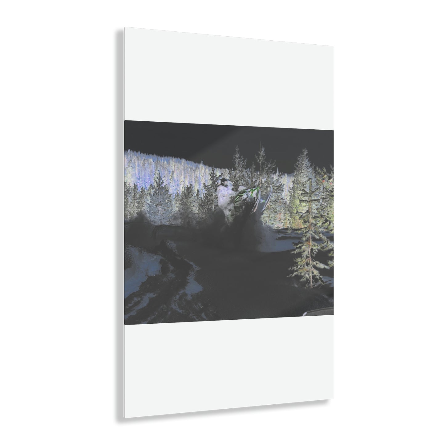 Acrylic Prints ... "No Time 'Like-Air-Time' ..." ... A True Master At His Craft ... December 2022, Rhett Creek, Idaho ... Original Works ...