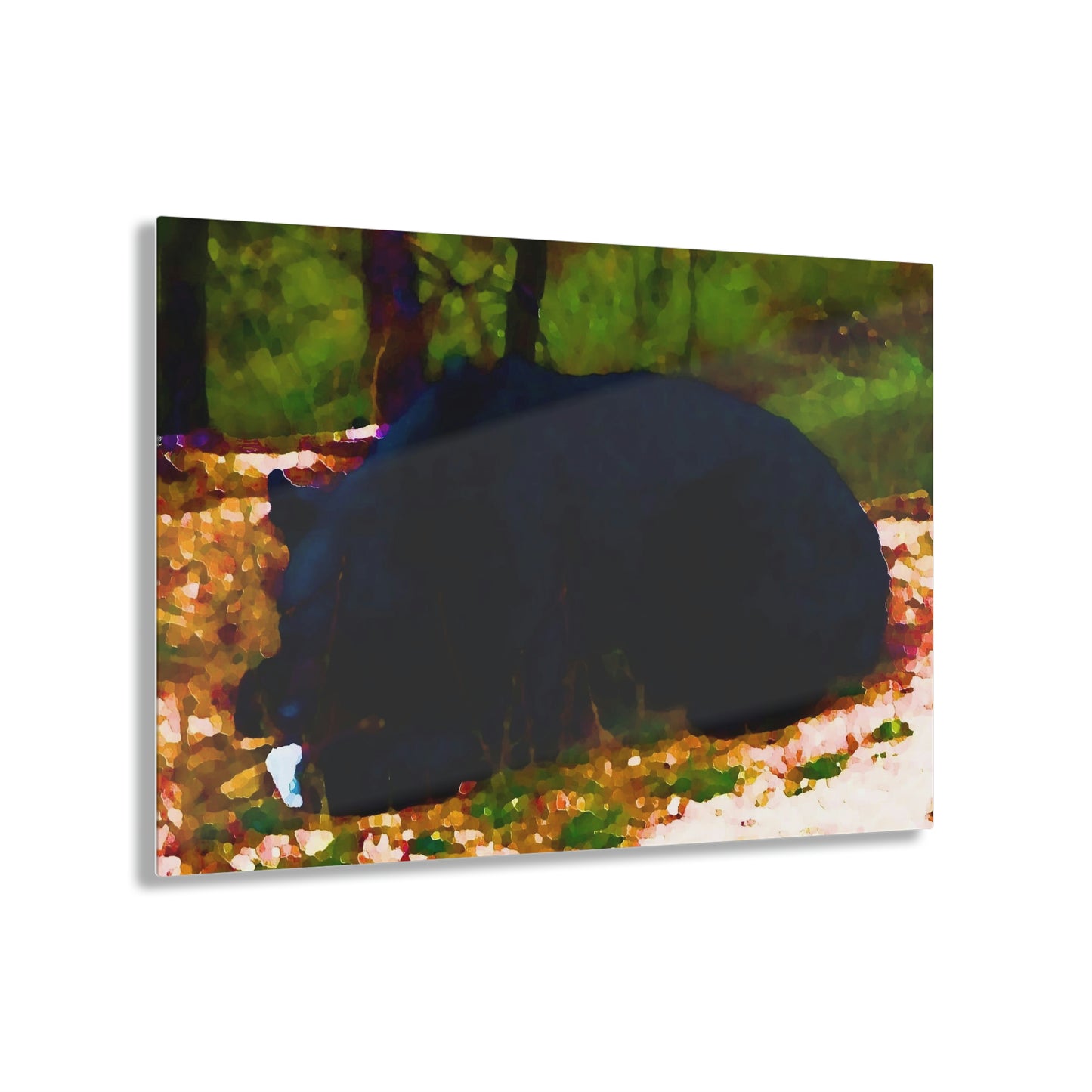 Acrylic Prints ... RCY: "Rhett Creek Yogi ... '500 Lbs Of Autumn Season Hunger' ..."  ... September 2022 ... Central Idaho ... Original Works ...