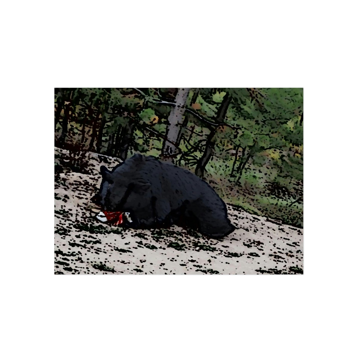 Aluminum Composite Panels ... A Local 'Yogi_4' ... RCY: "Rhett Creek Yogi: 500#'s Of Hungry Black Bear" ... 28-29Sep23 ... Original Works ... Client Project-Folio ...