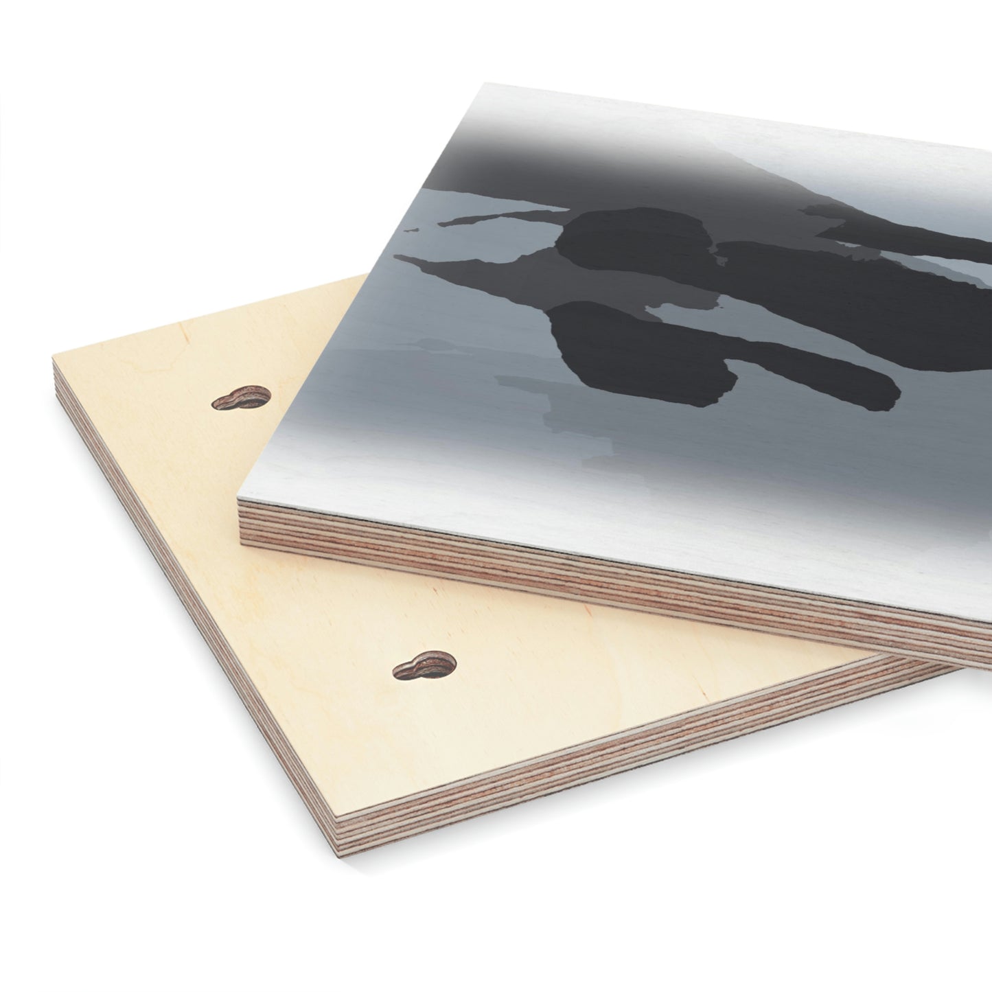 Wood Canvas ...  'Right Next To Us ... Whale Watch Salish Sea' ... Summer 2012 ... Friday Harbor, San Juan Island, WA ...