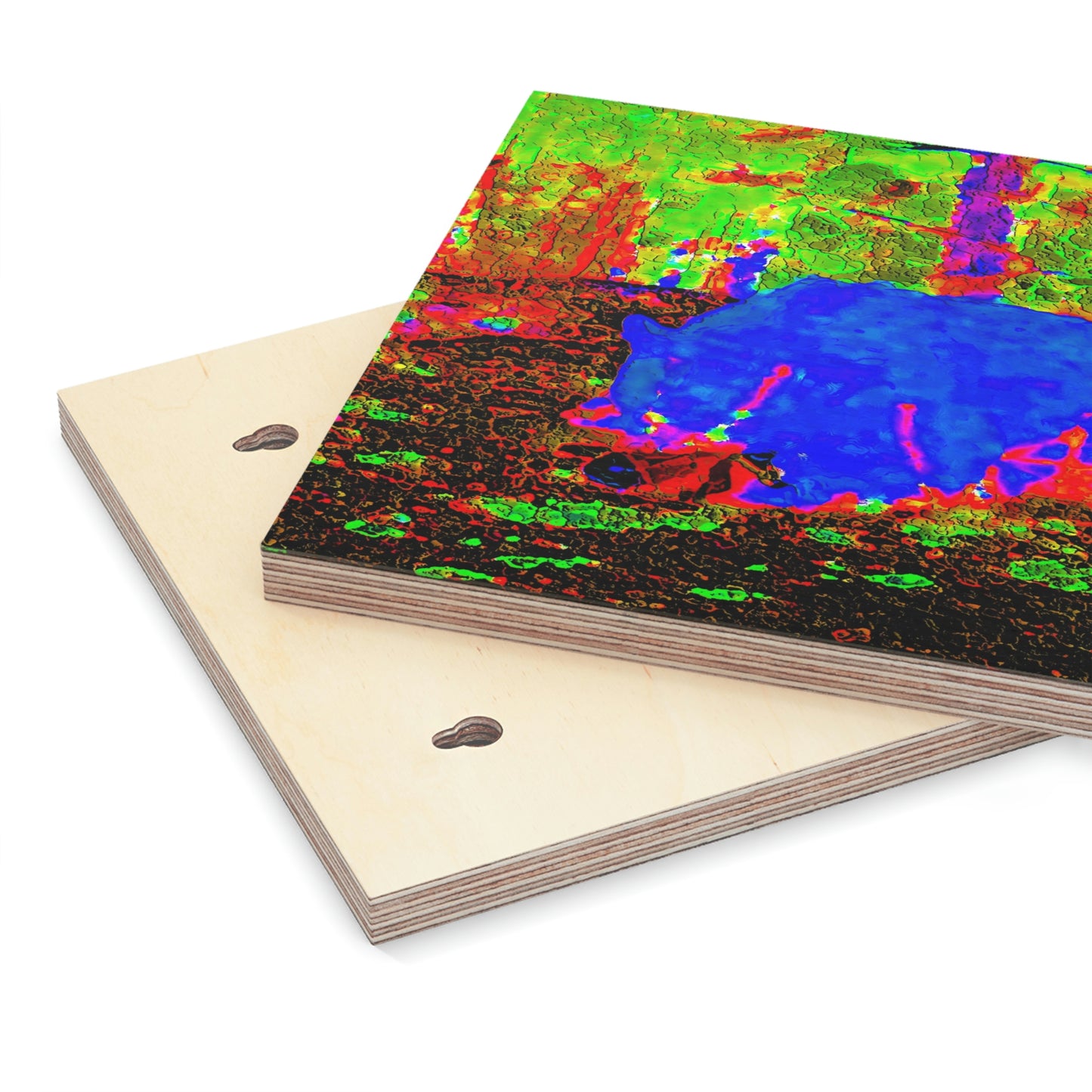 Wood Canvas ... RCY: "Rhett Creek Yogi ... '500 Lbs Of Autumn Season Hunger' ..."  ... September 2022 ... Central Idaho ... Original Works ...