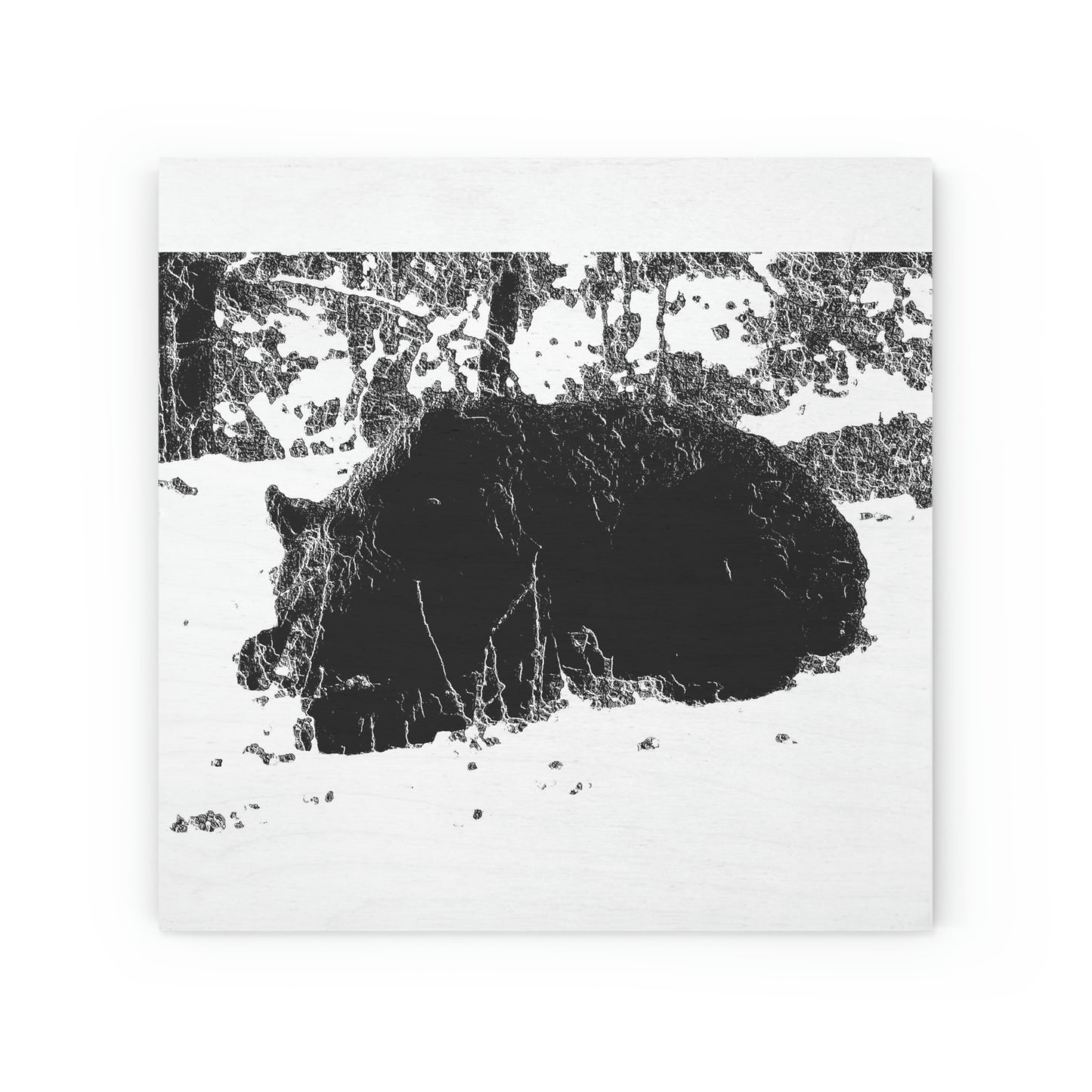 Wood Canvas ... RCY: "Rhett Creek Yogi ... '500 Lbs Of Autumn Season Hunger' ..."  ... September 2022 ... Central Idaho ... Original Works ...