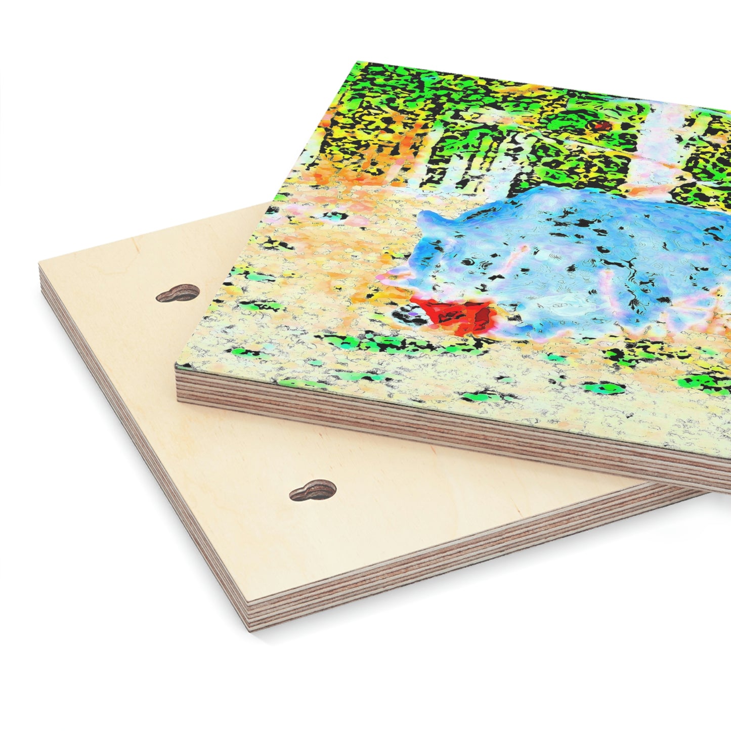 Wood Canvas ... RCY: "Rhett Creek Yogi ... '500 Lbs Of Autumn Season Hunger' ..."  ... September 2022 ... Central Idaho ... Original Works ...