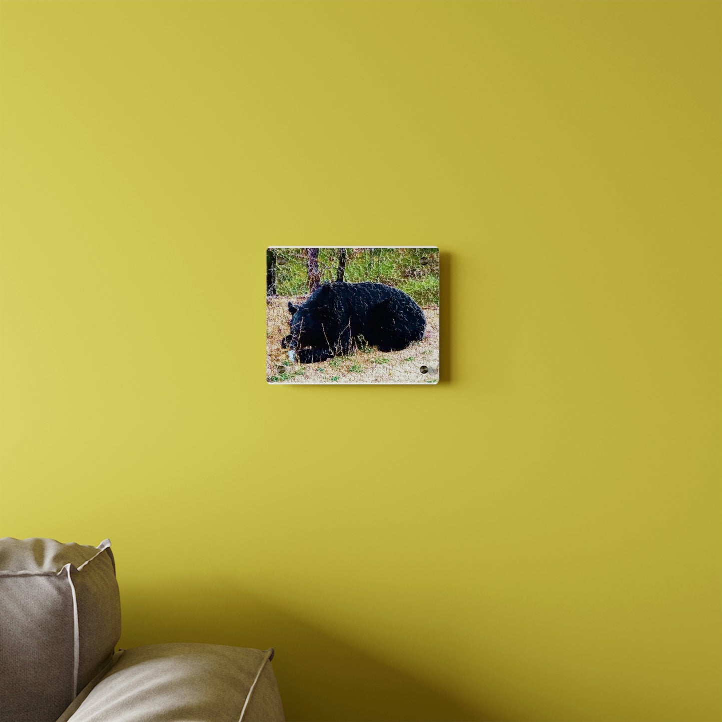 Acrylic Wall Art Panels ... RCY: "Rhett Creek Yogi ... '500 Lbs Of Autumn Season Hunger' ..."  ... September 2022 ... Central Idaho ... Original Works ...