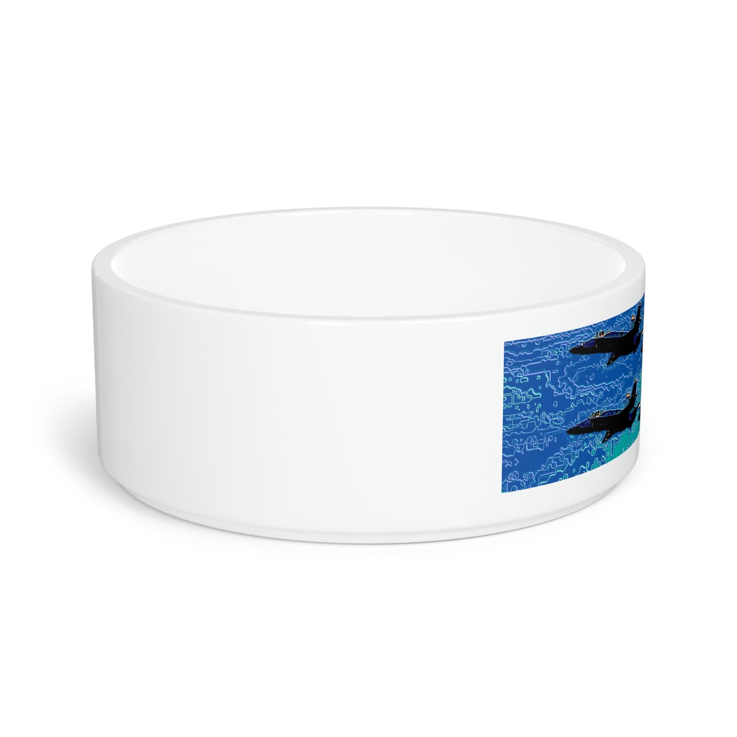 Pet Bowl ... Seattle Seafair ..."Blue Angels Run Over Lake Washington" ... Circa Mid 1980's ... Dr FJ Holt ... Original Works ...