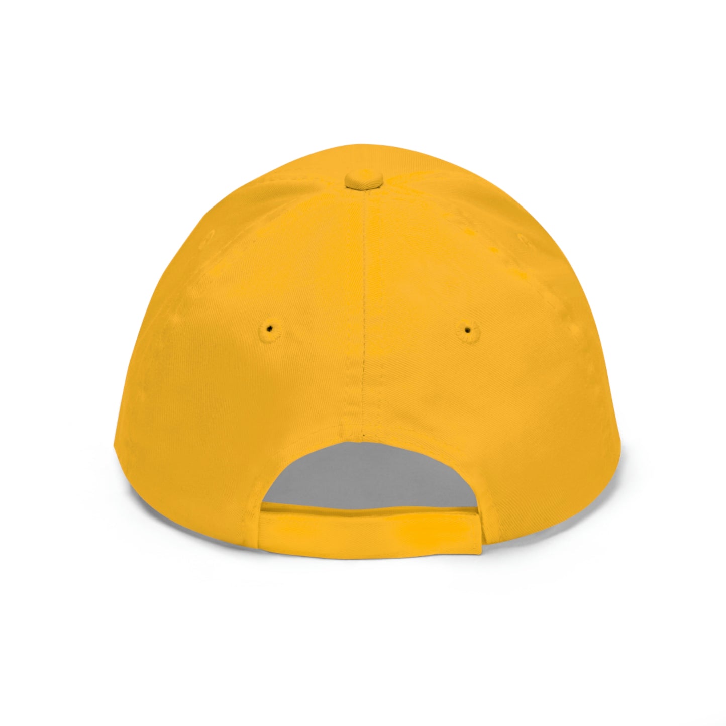 Unisex Twill Hat ... How-To-Drive-Idaho's-Mountain_Roads ... "Like A Professional" ... "Truckin' Like The Doo-Dah-Man" ...