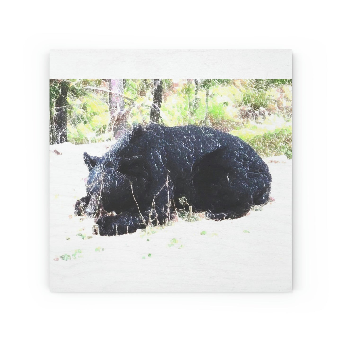 Wood Canvas ... RCY: "Rhett Creek Yogi ... '500 Lbs Of Autumn Season Hunger' ..."  ... September 2022 ... Central Idaho ... Original Works ...