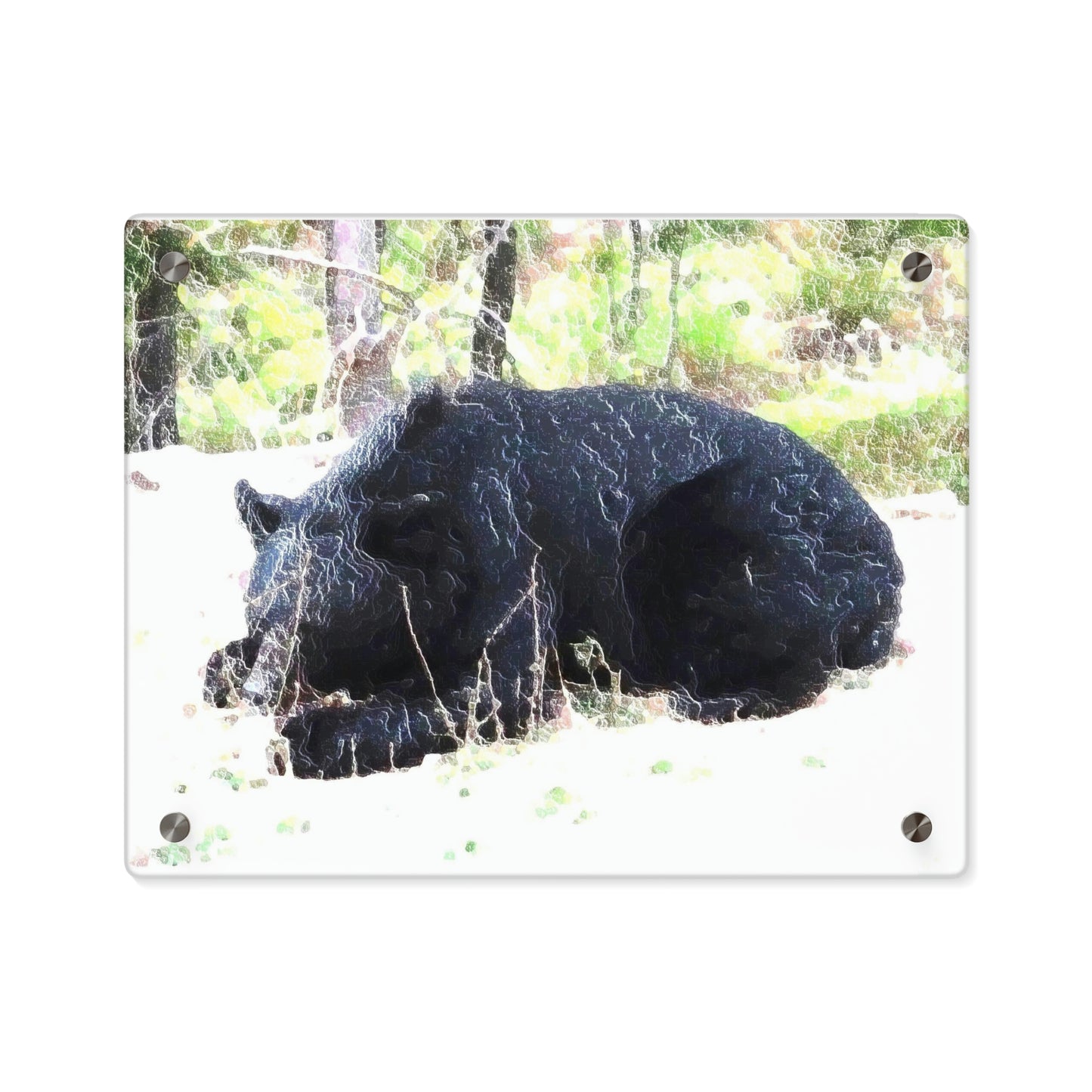 Acrylic Wall Art Panels ... RCY: "Rhett Creek Yogi ... '500 Lbs Of Autumn Season Hunger' ..."  ... September 2022 ... Central Idaho ... Original Works ...