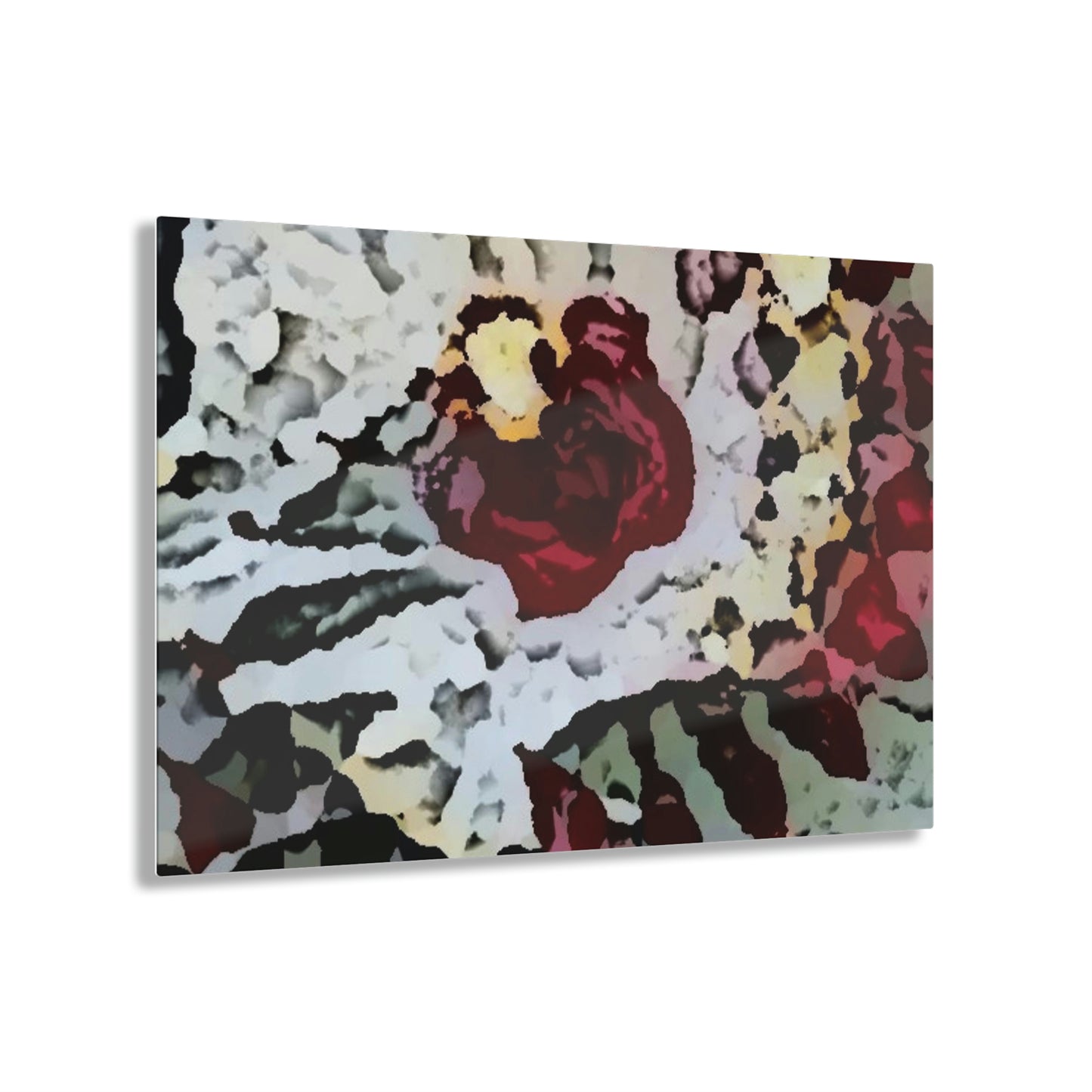 Acrylic Prints ... "A Friendly Flower" ... Pointsettia 'Pointing' ... Original Works ... (Supplied Photograph) ...