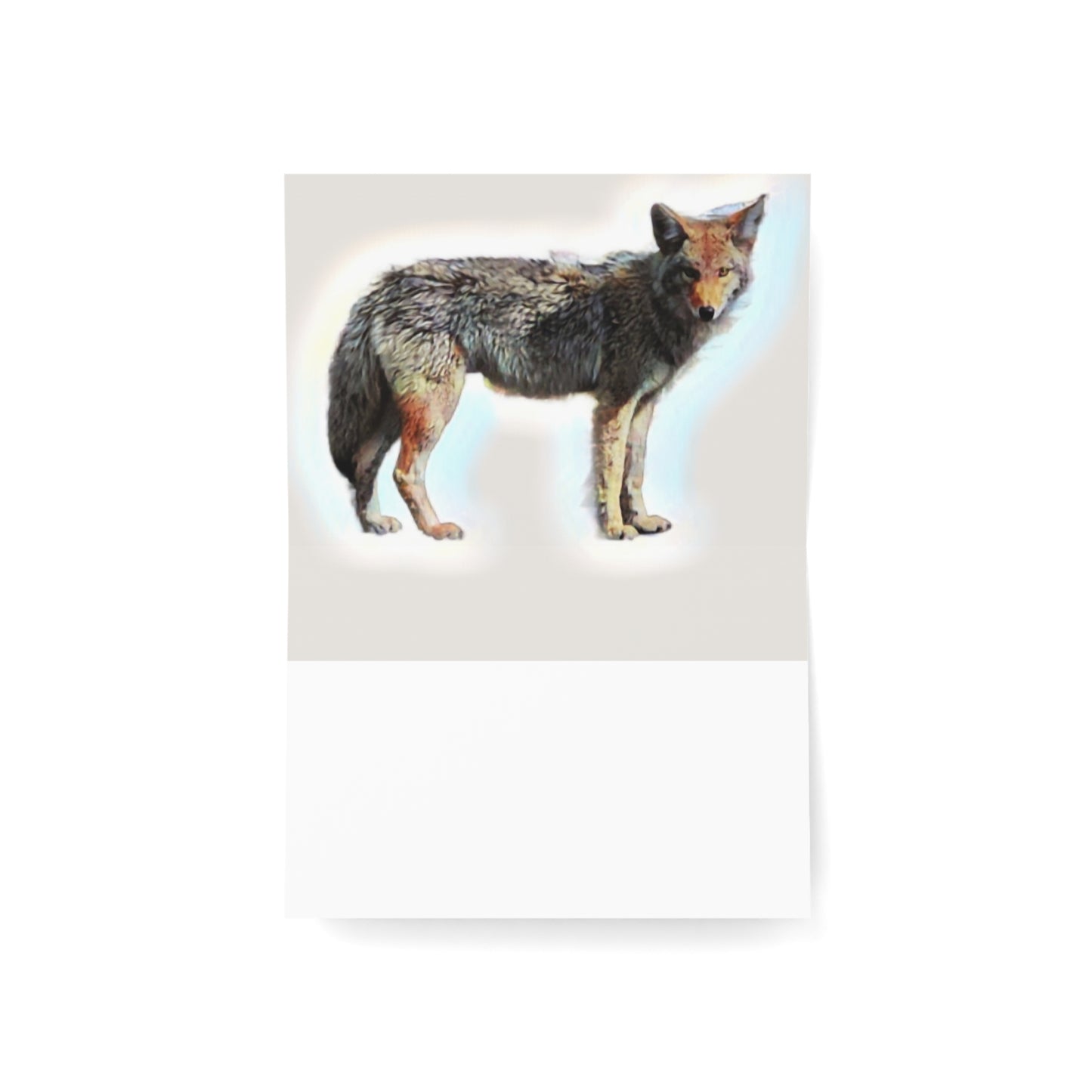 Greeting Cards (1, 10, 30, and 50pcs) ... Coyote ... "Yosemite Valley: Circa May23 ... KPH Base Photo" ... Original Works ...