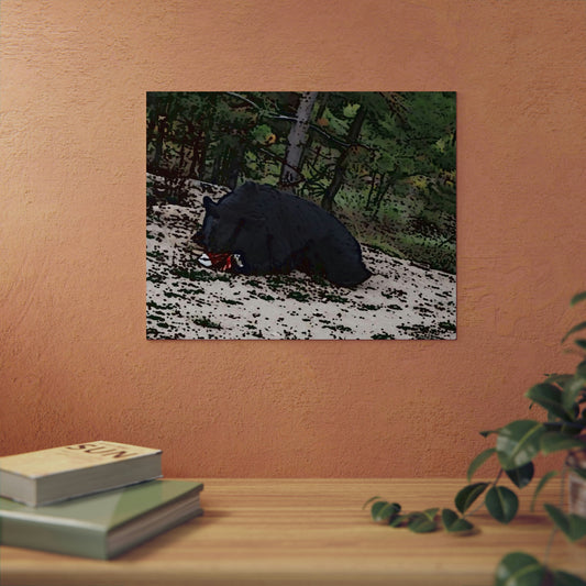 Aluminum Composite Panels ... A Local 'Yogi_4' ... RCY: "Rhett Creek Yogi: 500#'s Of Hungry Black Bear" ... 28-29Sep23 ... Original Works ... Client Project-Folio ...