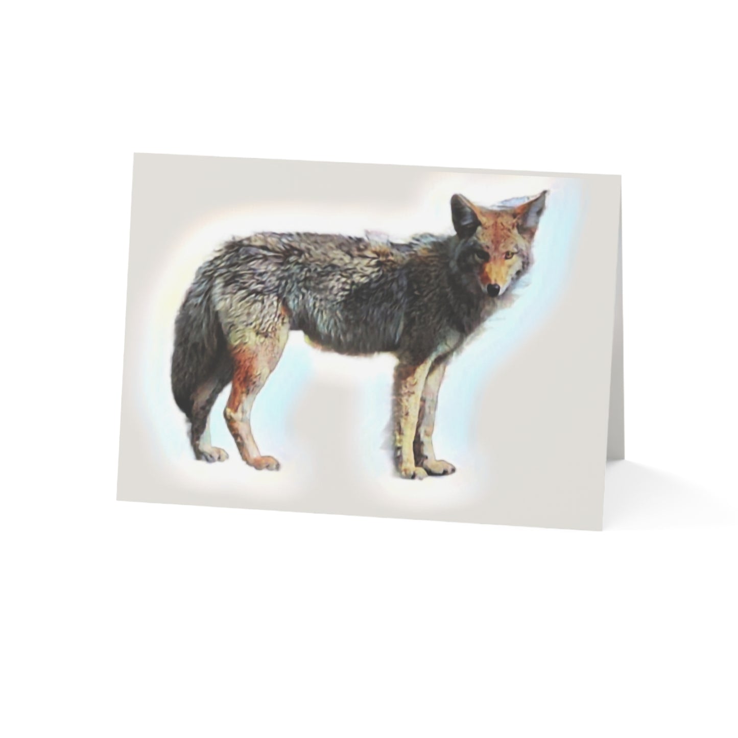 Greeting Cards (1, 10, 30, and 50pcs) ... Coyote ... "Yosemite Valley: Circa May23 ... KPH Base Photo" ... Original Works ...