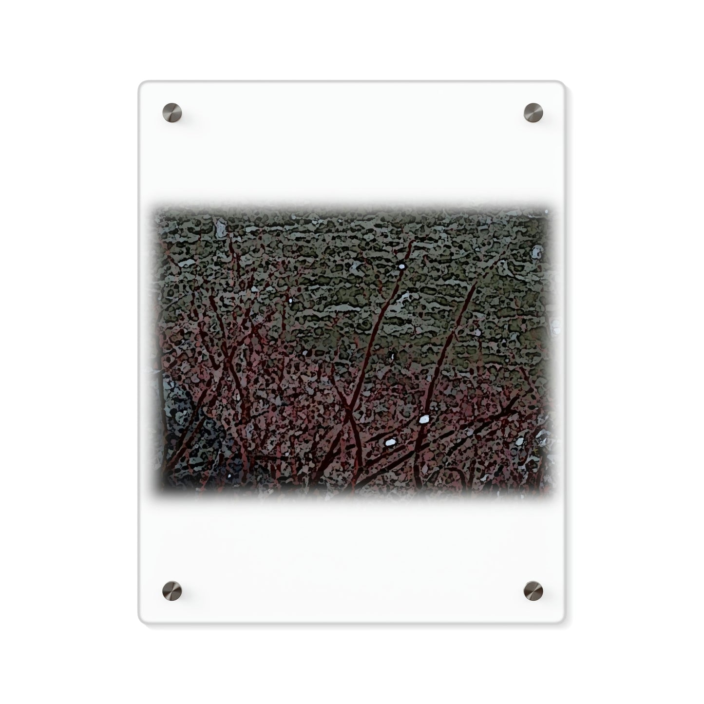 Acrylic Wall Art Panels ... "A River Runs Through It ... Red-Osier-Dogwood (Conus Stonlifera 'Rubra') .. Oringinal Works ... Central Idaho ...