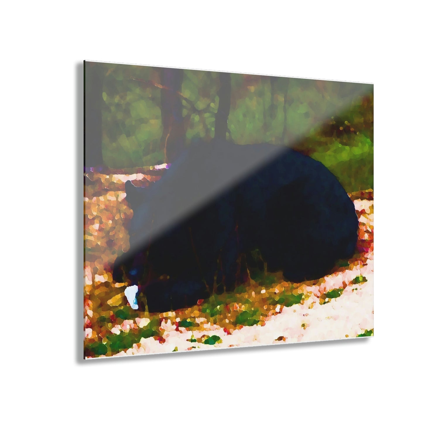 Acrylic Prints (French Cleat Hanging) ... RCY: "Rhett Creek Yogi ... '500 Lbs Of Autumn Season Hunger' ..."  ... September 2022 ... Central Idaho ... Original Works ...