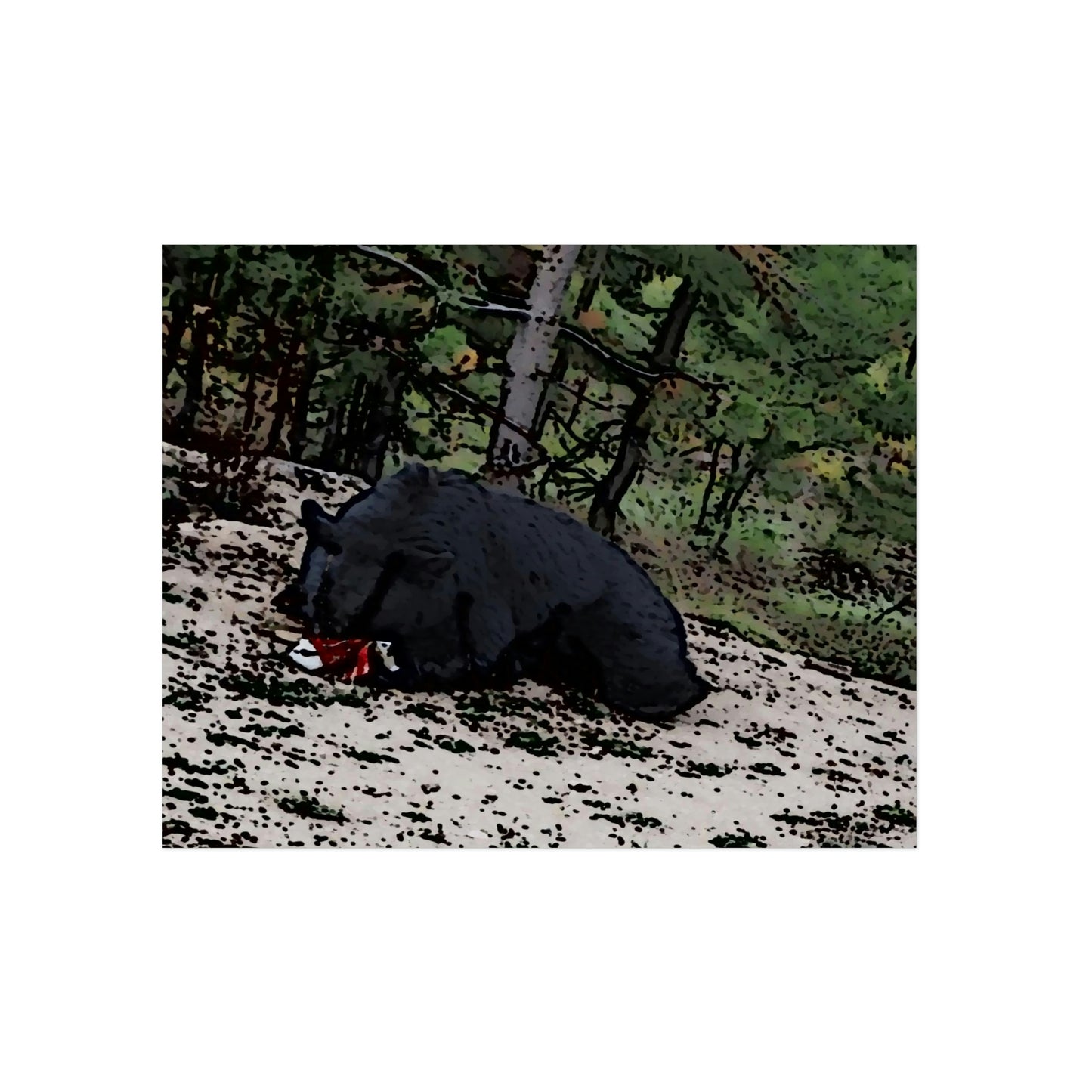 Aluminum Composite Panels ... A Local 'Yogi_4' ... RCY: "Rhett Creek Yogi: 500#'s Of Hungry Black Bear" ... 28-29Sep23 ... Original Works ... Client Project-Folio ...