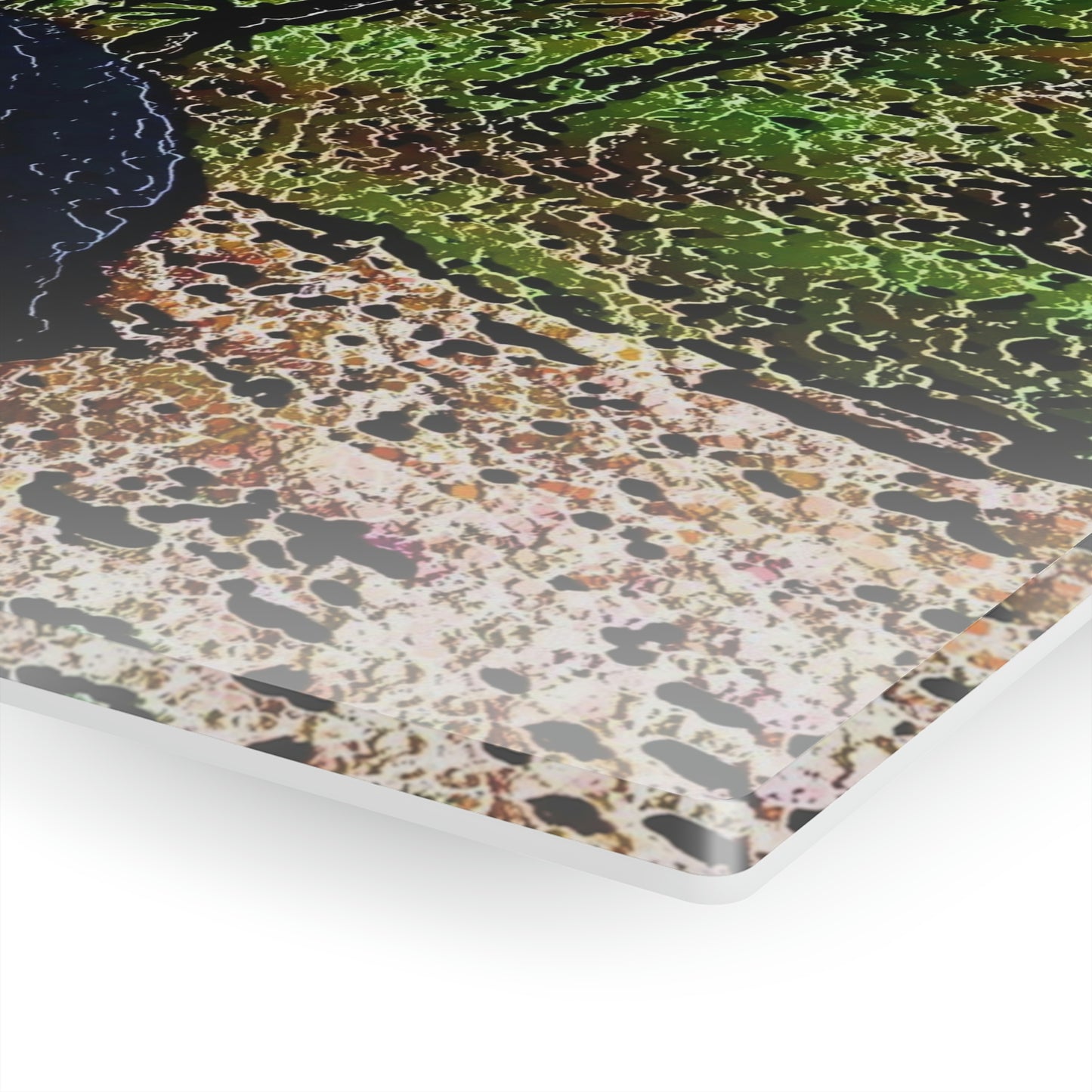 Acrylic Prints ... RCY: "Rhett Creek Yogi ... '500 Lbs Of Autumn Season Hunger' ..."  ... September 2022 ... Central Idaho ... Original Works ...