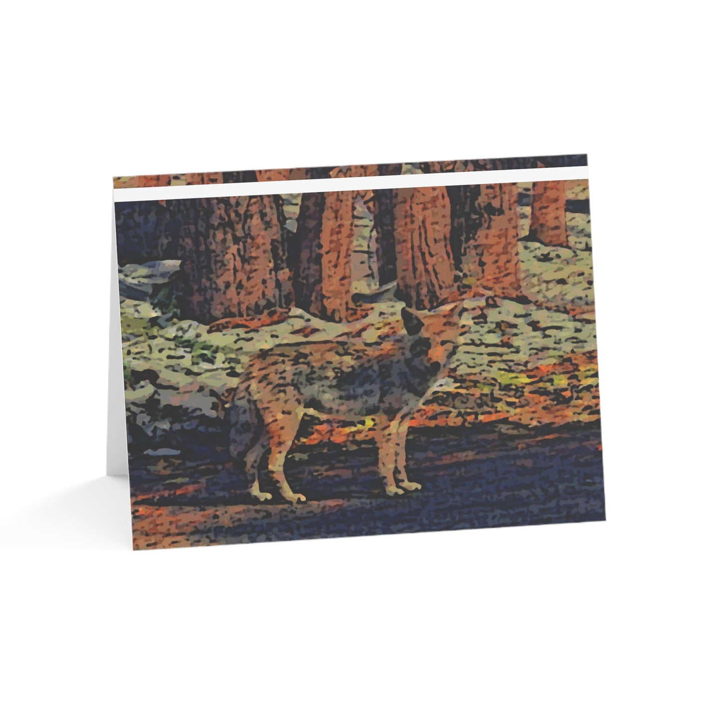Greeting Cards (1, 10, 30, and 50pcs) ... Coyote ... "Yosemite Valley: Circa May23 ... KPH Base Photo" ... Original Works ...