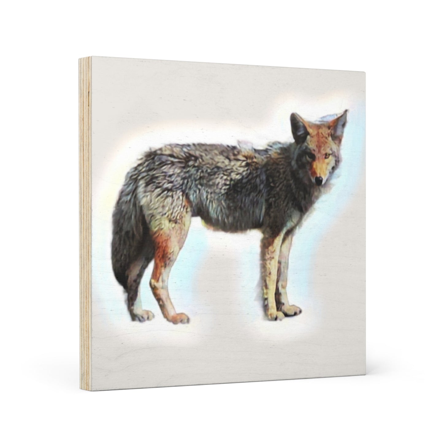 Wood Canvas ... Coyote ... "Yosemite Valley: Circa May23 ... KPH Base Photo" ... Original Works ...