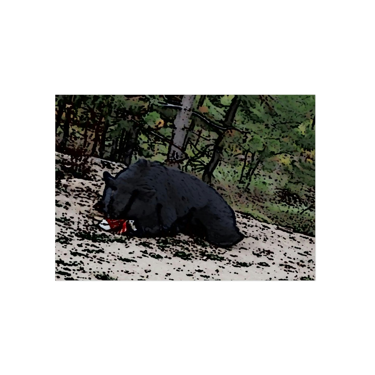 Aluminum Composite Panels ... A Local 'Yogi_4' ... RCY: "Rhett Creek Yogi: 500#'s Of Hungry Black Bear" ... 28-29Sep23 ... Original Works ... Client Project-Folio ...