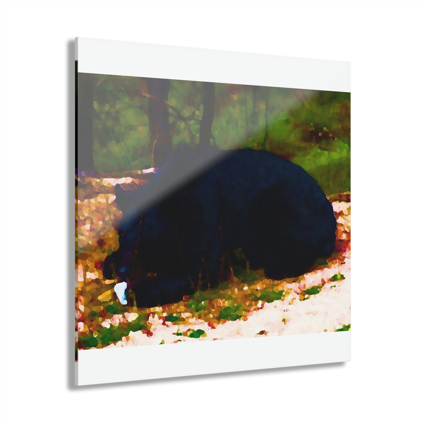 Acrylic Prints (French Cleat Hanging) ... RCY: "Rhett Creek Yogi ... '500 Lbs Of Autumn Season Hunger' ..."  ... September 2022 ... Central Idaho ... Original Works ...