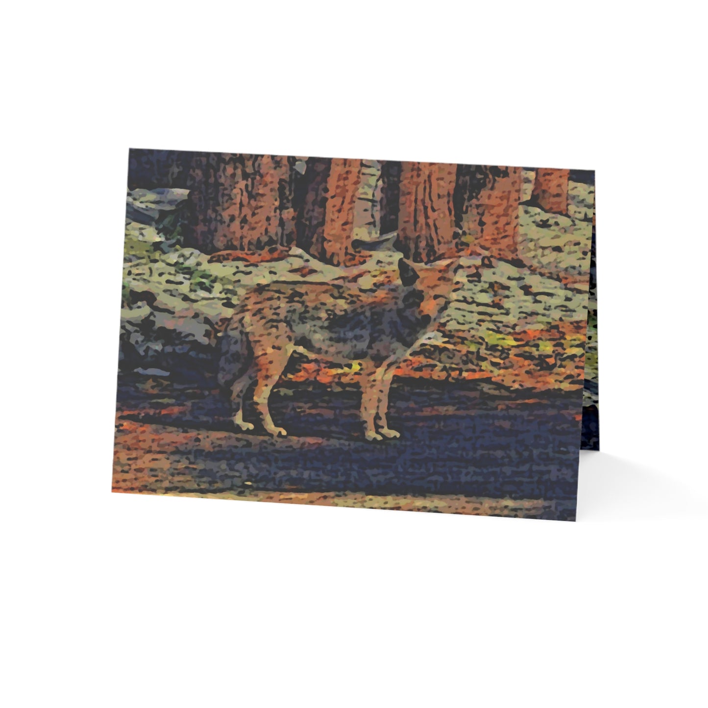 Greeting Cards (1, 10, 30, and 50pcs) ... Coyote ... "Yosemite Valley: Circa May23 ... KPH Base Photo" ... Original Works ...