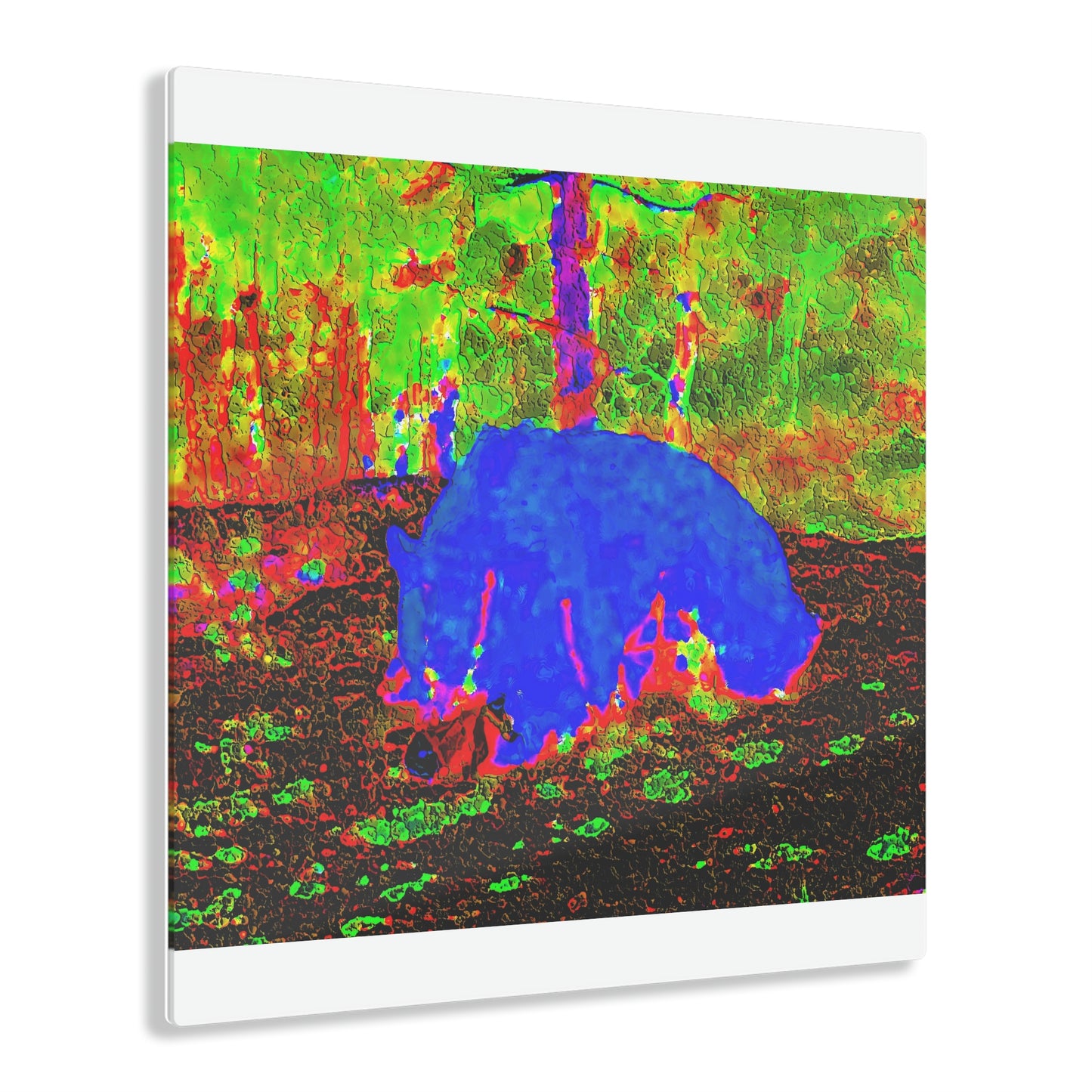 Acrylic Prints ... RCY: "Rhett Creek Yogi ... '500 Lbs Of Autumn Season Hunger' ..."  ... September 2022 ... Central Idaho ... Original Works ...