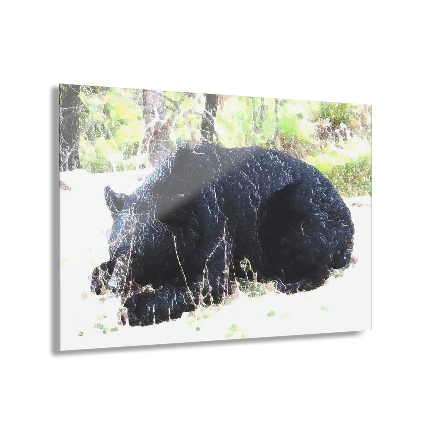 Acrylic Prints (French Cleat Hanging) ... RCY: "Rhett Creek Yogi ... '500 Lbs Of Autumn Season Hunger' ..."  ... September 2022 ... Central Idaho ... Original Works ...