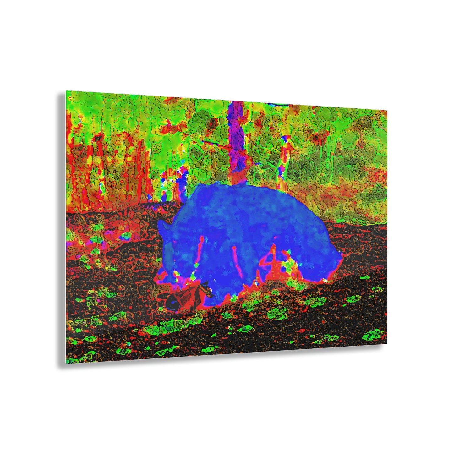 Acrylic Prints ... RCY: "Rhett Creek Yogi ... '500 Lbs Of Autumn Season Hunger' ..."  ... September 2022 ... Central Idaho ... Original Works ...