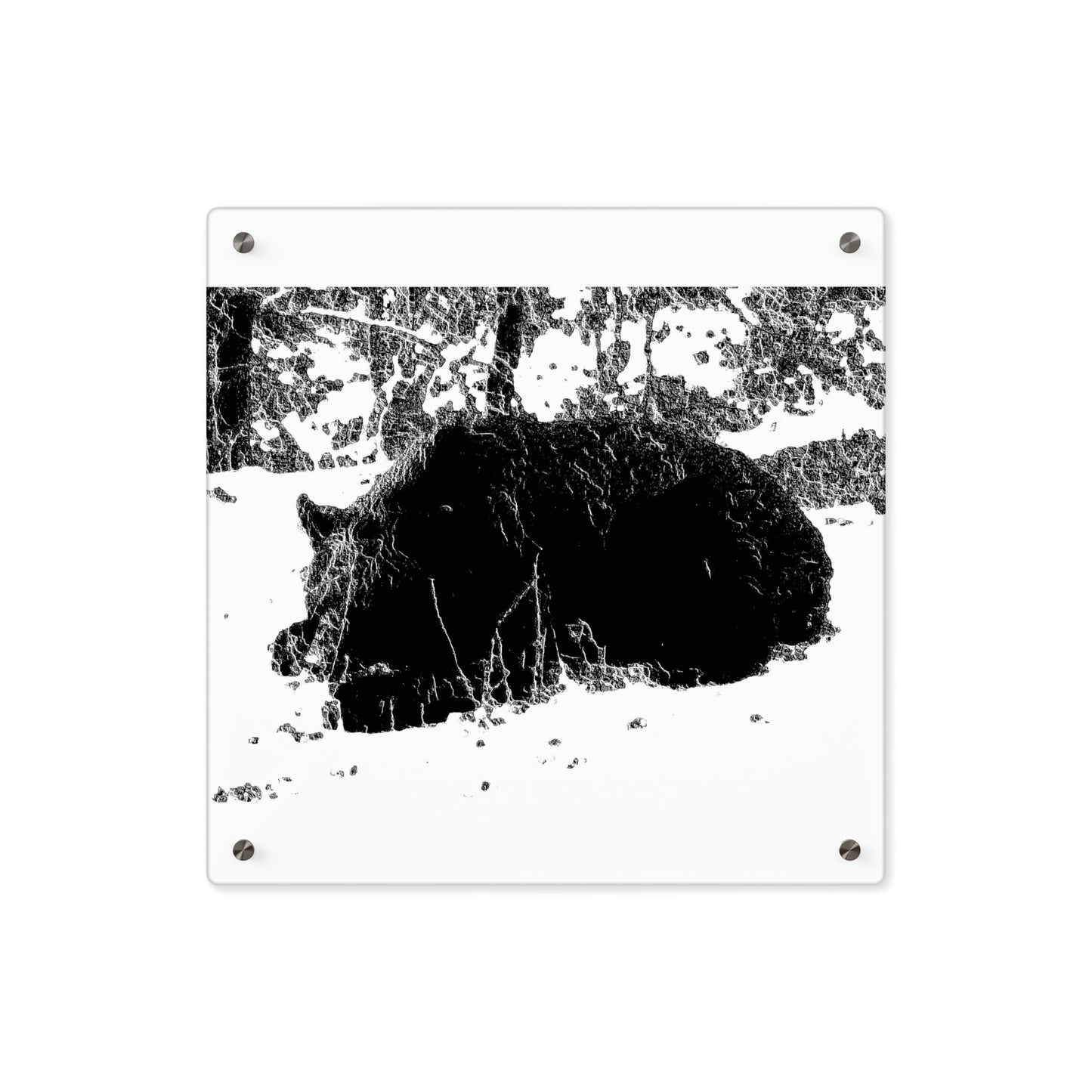 Acrylic Wall Art Panels ... RCY: "Rhett Creek Yogi ... '500 Lbs Of Autumn Season Hunger' ..."  ... September 2022 ... Central Idaho ... Original Works ...
