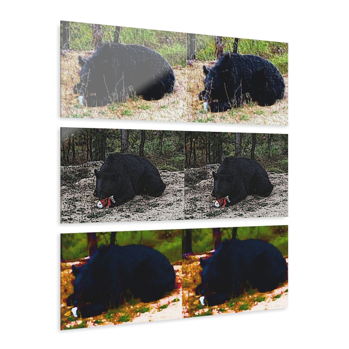 Acrylic Prints (Triptych) ... RCY: "Rhett Creek Yogi ... '500 Lbs Of Autumn Season Hunger' ..." September 2022 ... Central Idaho ... Original Works ...
