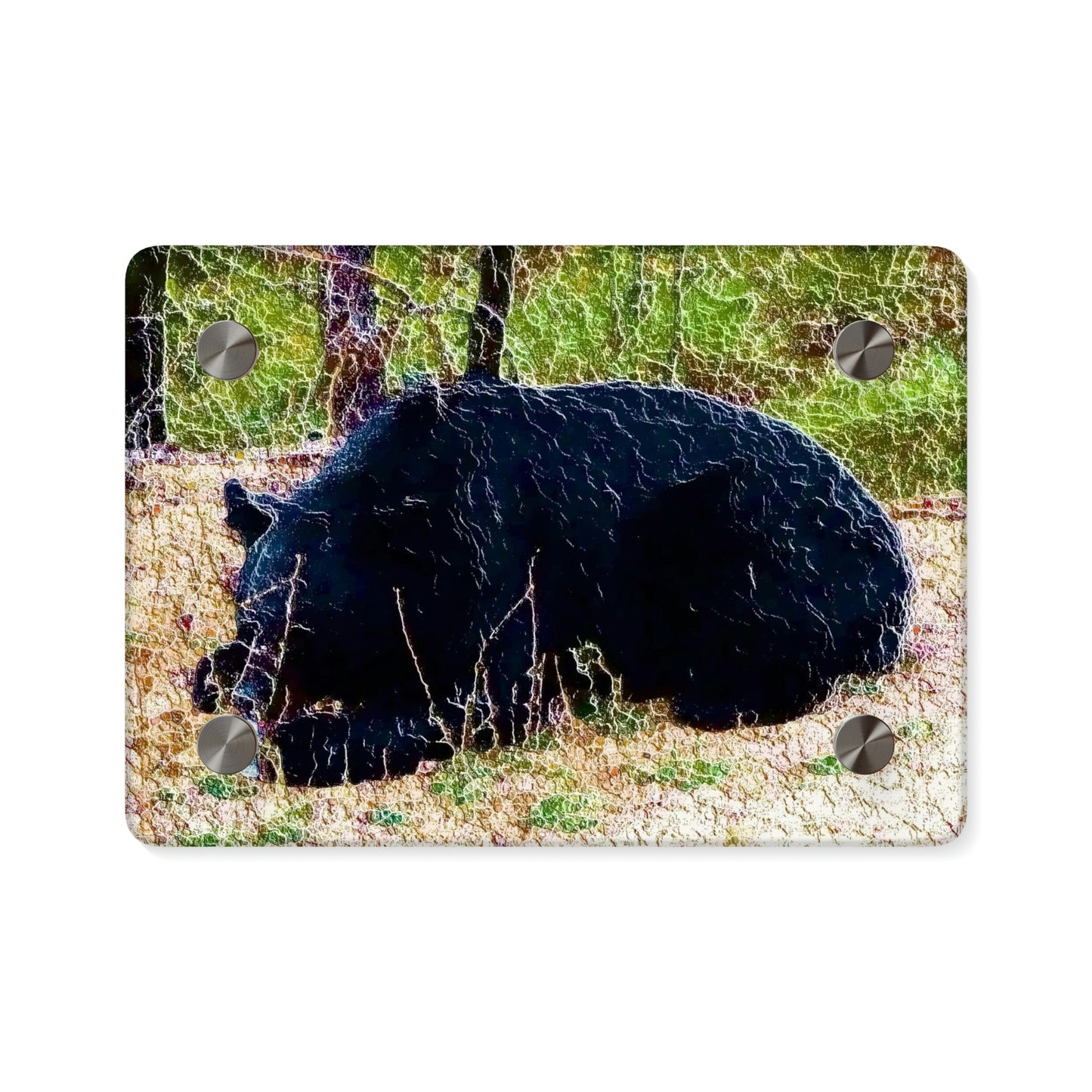 Acrylic Wall Art Panels ... RCY: "Rhett Creek Yogi ... '500 Lbs Of Autumn Season Hunger' ..."  ... September 2022 ... Central Idaho ... Original Works ...