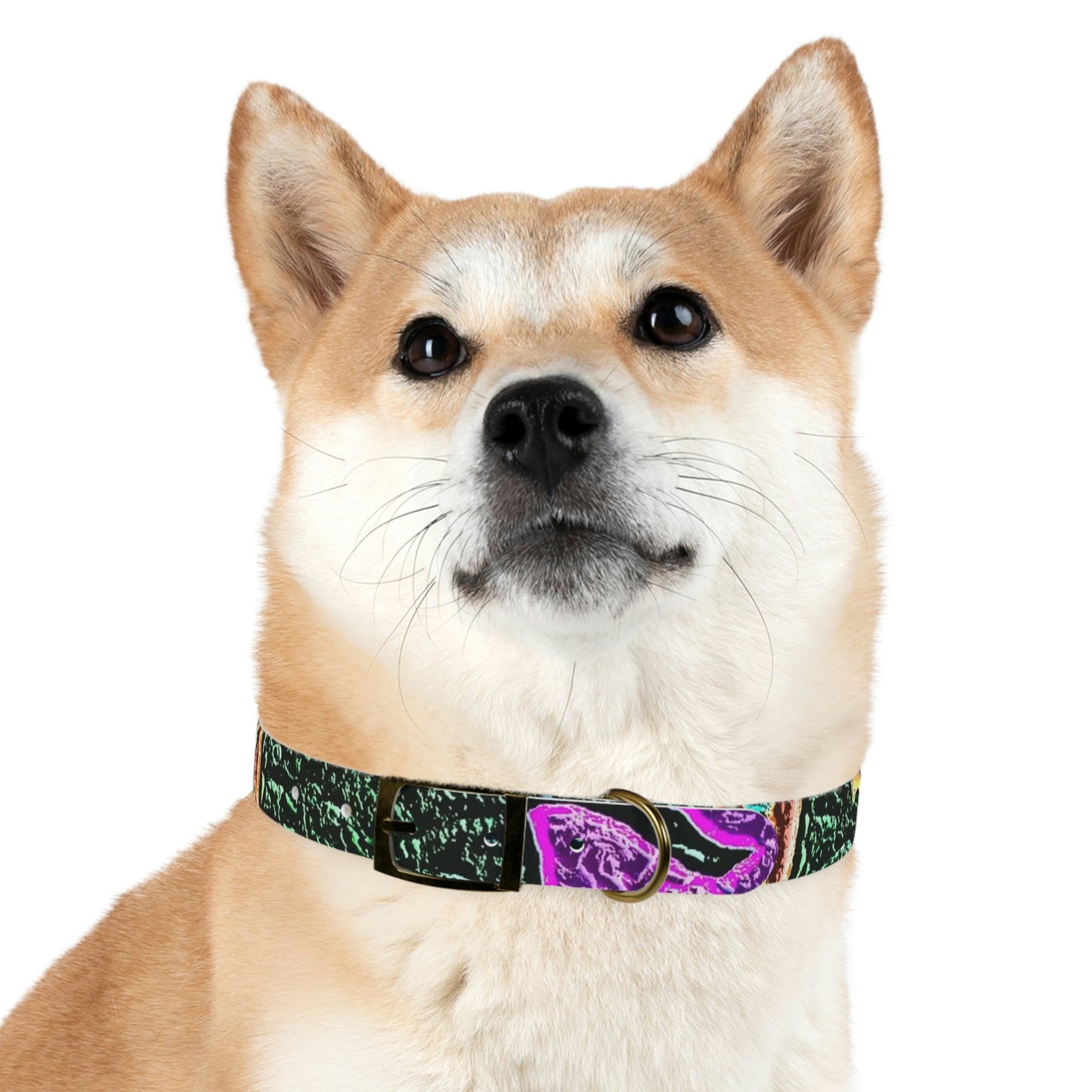 Dog Collar ... "La Grande Entree" At: 'The Pink Palace' ... The Royal Hawai'ian ... Honolulu, HI ... '27Oct2014' ... Original Works ...