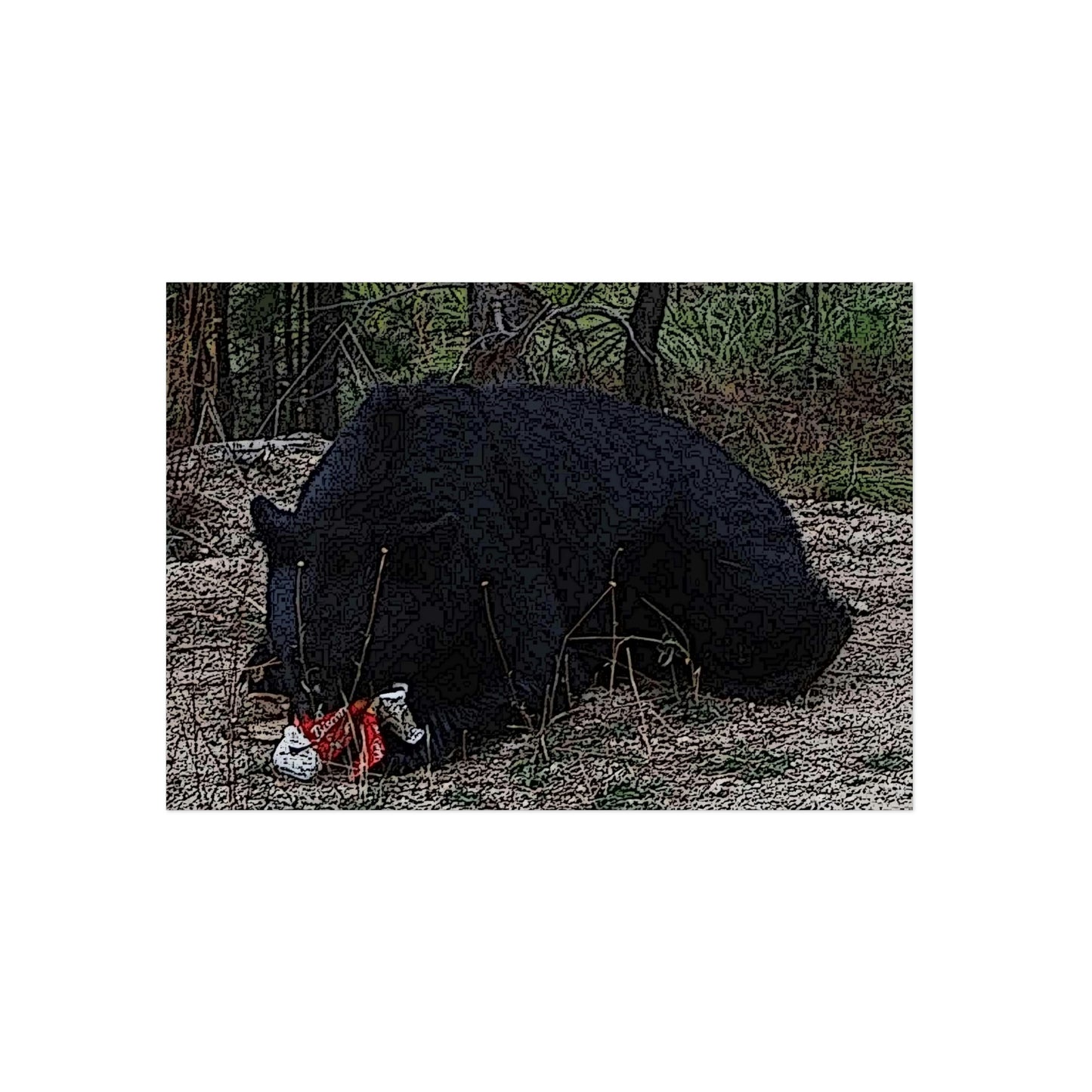 Aluminum Composite Panels ... A Local 'Yogi_3' ... RCY: "Rhett Creek Yogi: 500#'s Of Hungry Black Bear" ... 28-29Sep23 ... Original Works ... Client Project-Folio ...