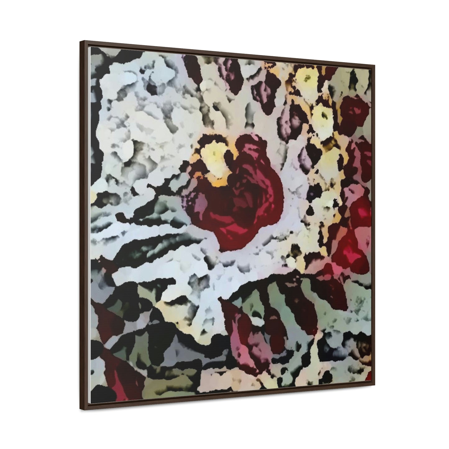 Gallery Canvas Wraps, Square Frame ... "A Friendly Flower" ... Pointsettia 'Pointing' ... Original Works ... (Supplied Photograph) ...